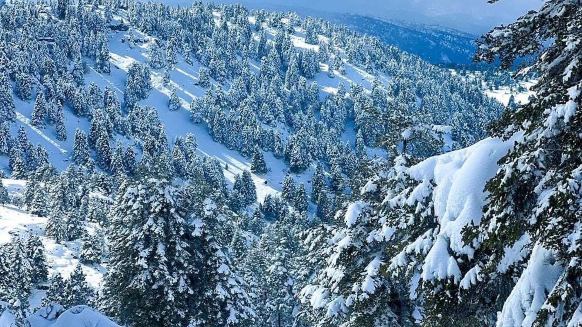 Lebanon turns into a winter wonderland after recent storm
