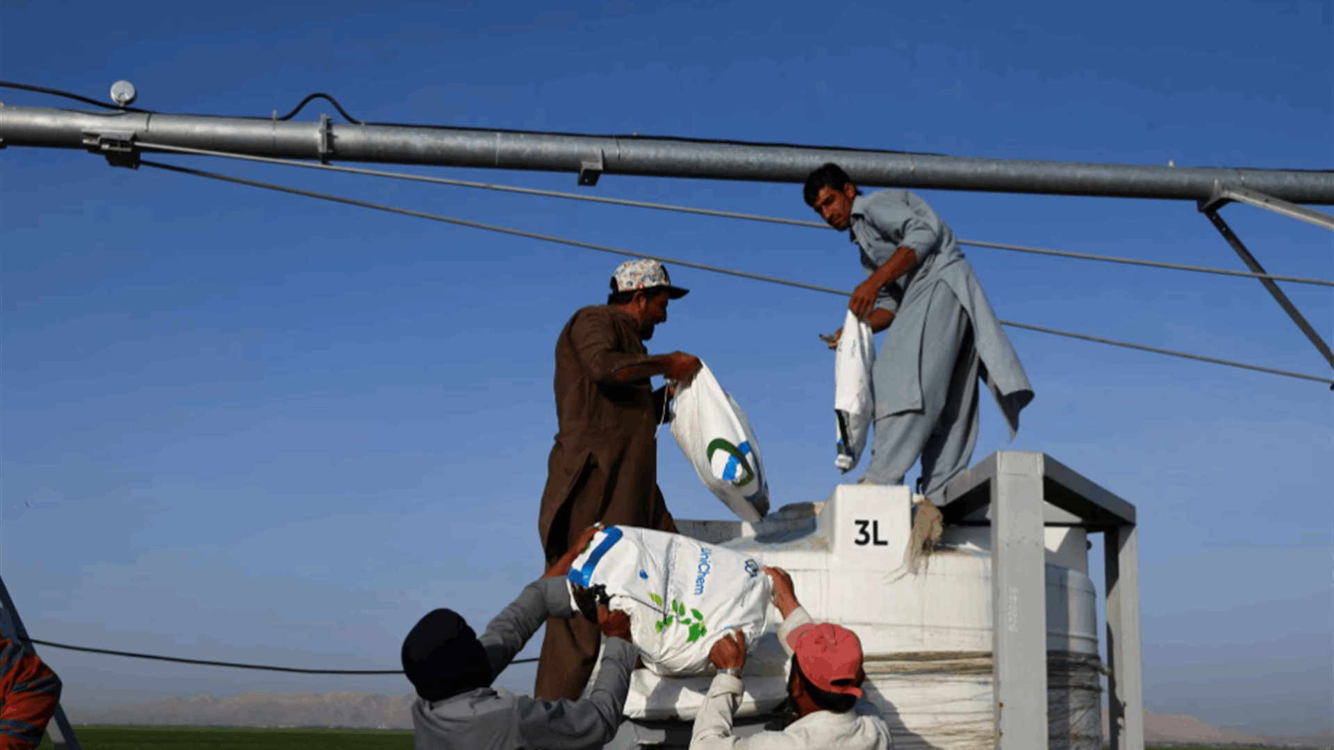 UAE oil power farms the desert in quest for food security