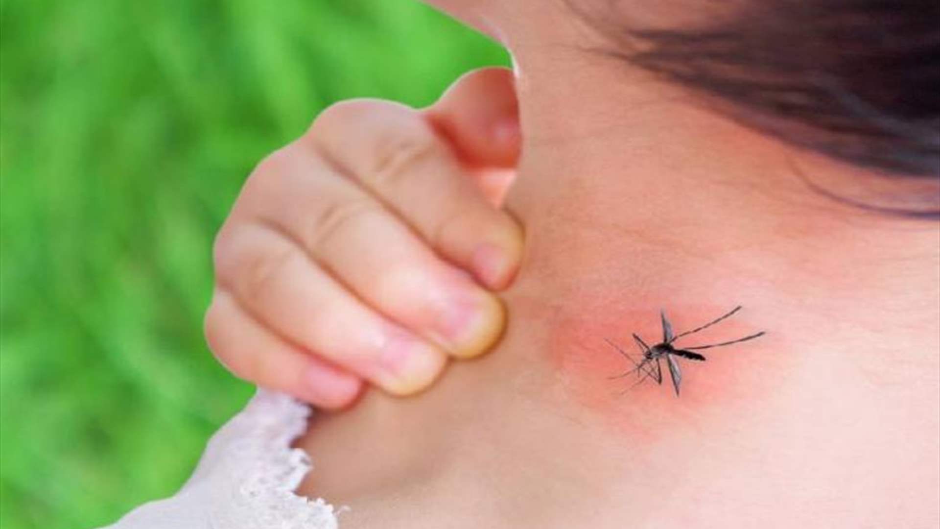 26 وفاة بحمى الضنك في بوليفيا منذ بداية العام