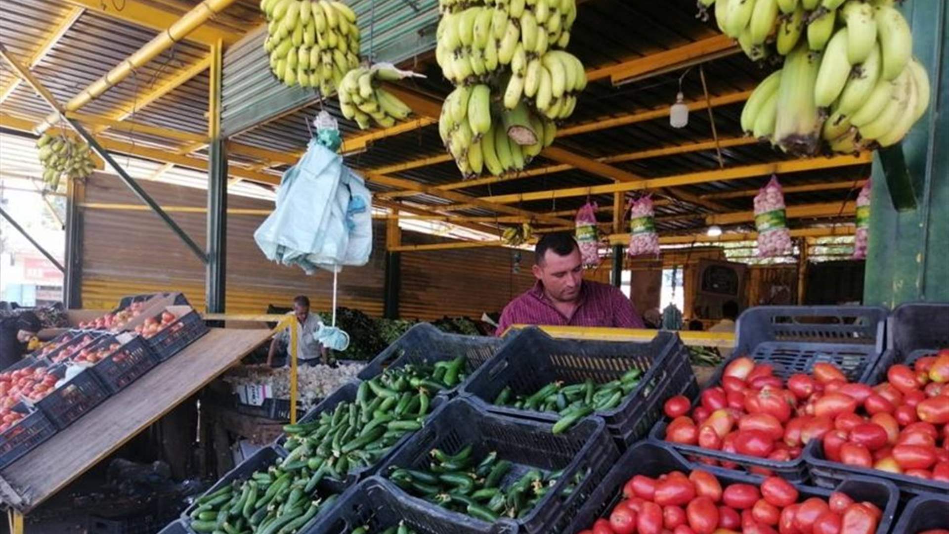 نقابة مزارعي الخضار واتحاد نقابات عمال وحرفيي الجنوب: لمراقبة الأسعار ووقف جشع الكثير من التجار