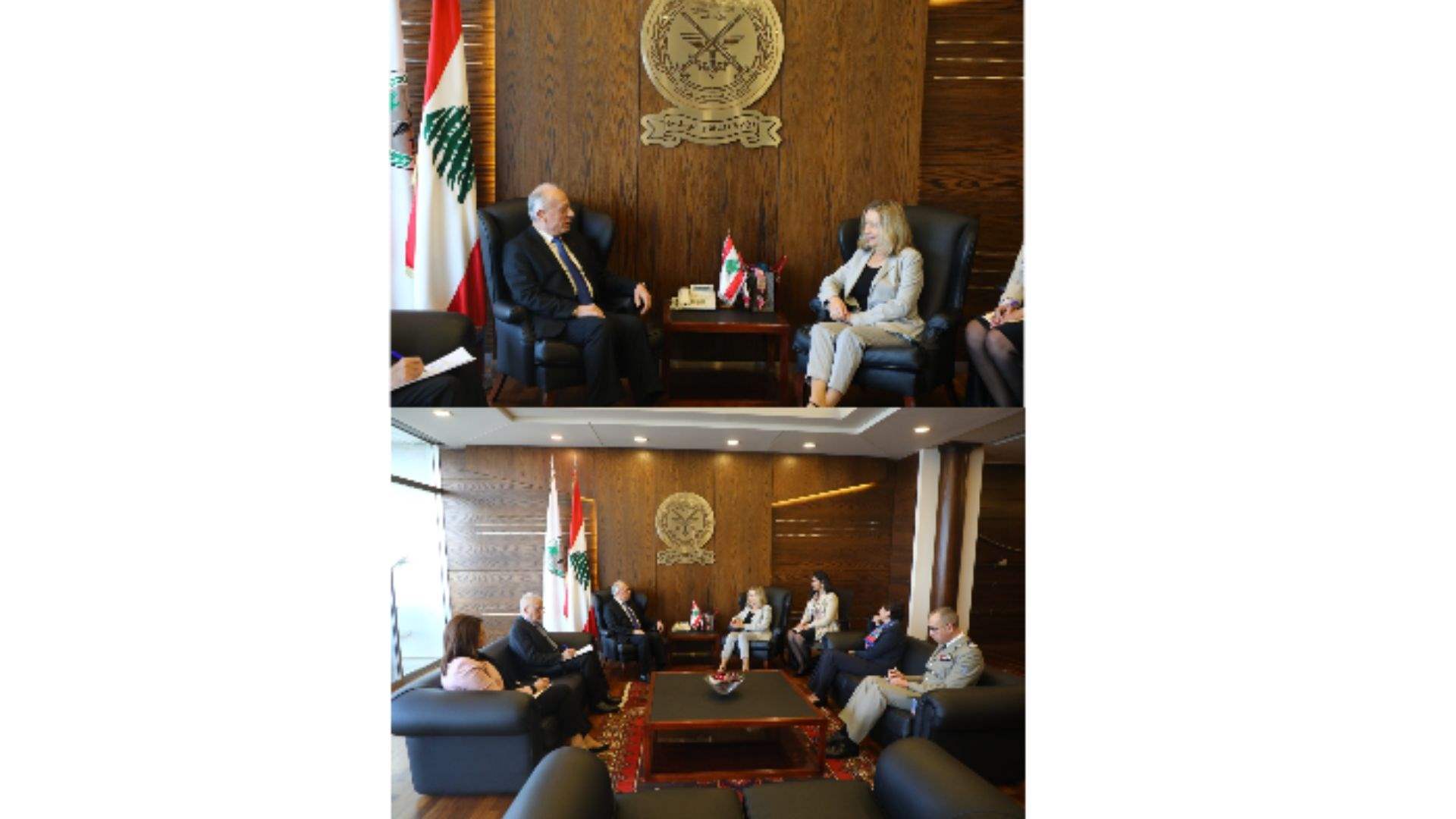 French Senator praises Lebanese ability to rise after crises 