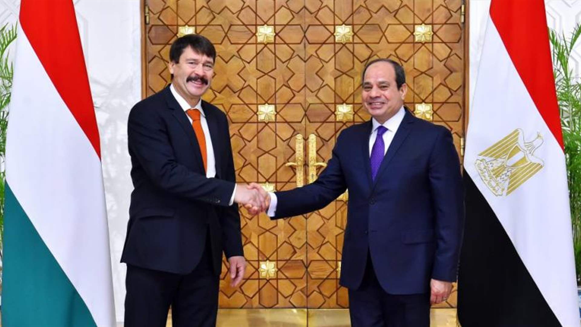 Egypt and Hungary ink new deals as leaders seek closer ties