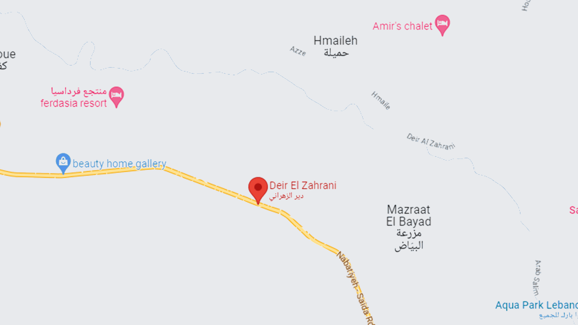 العثور على جثة شاب مصابة بطلق ناري في دير الزهراني