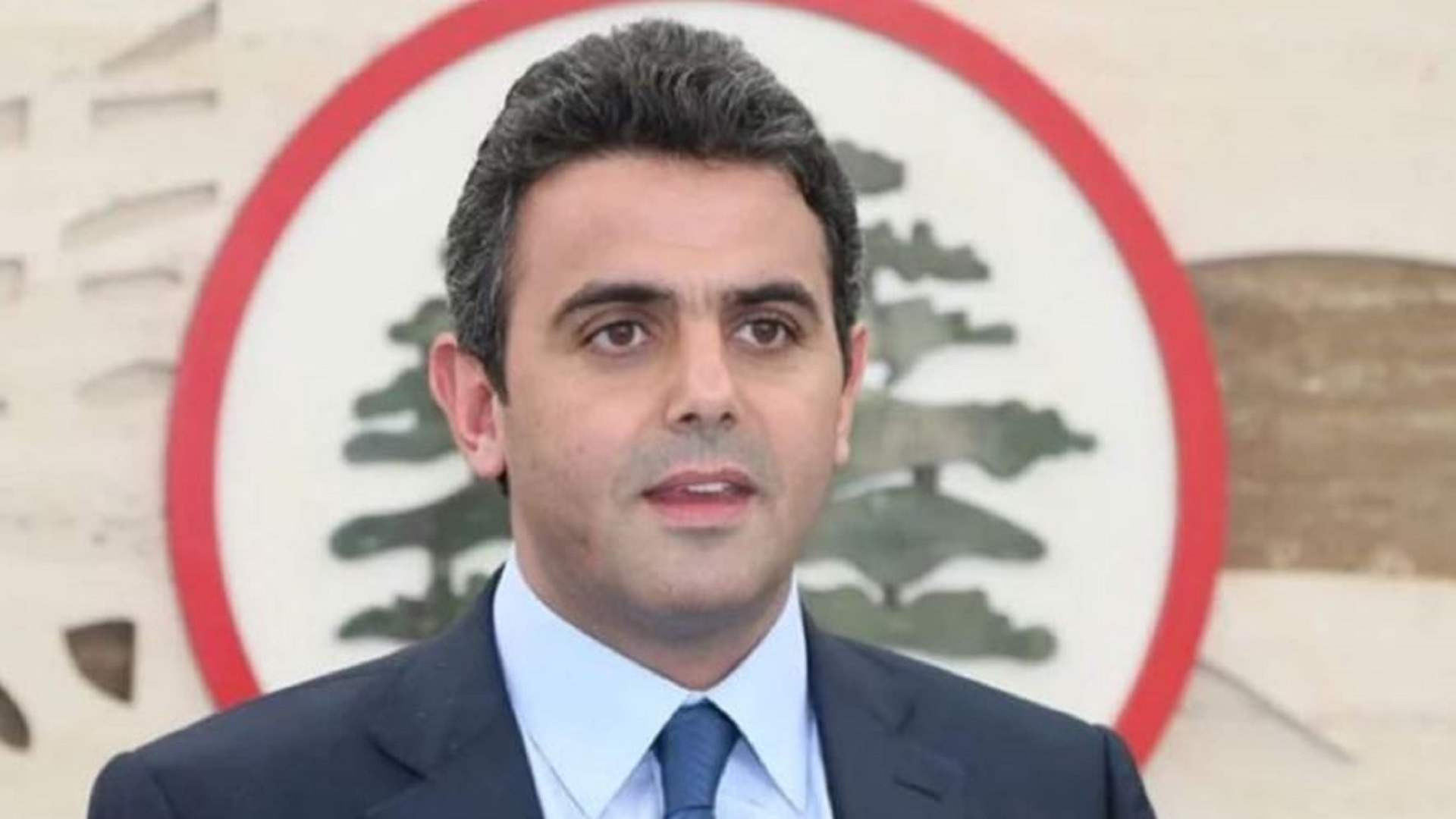 حواط: تقدمت بشكوى ضد غادة عون