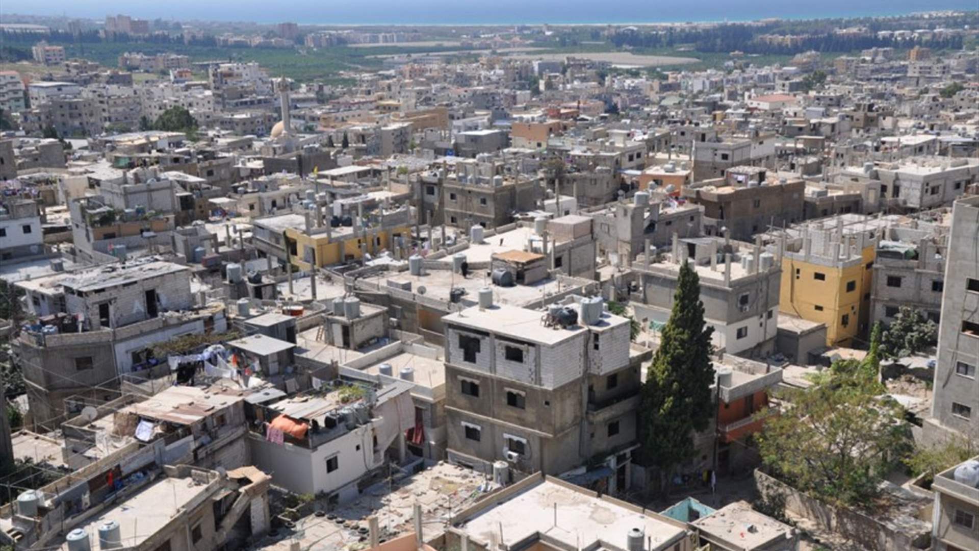 اطلاق نار صباحا في مخيم عين الحلوة والحصيلة قتيل وسبعة جرحى