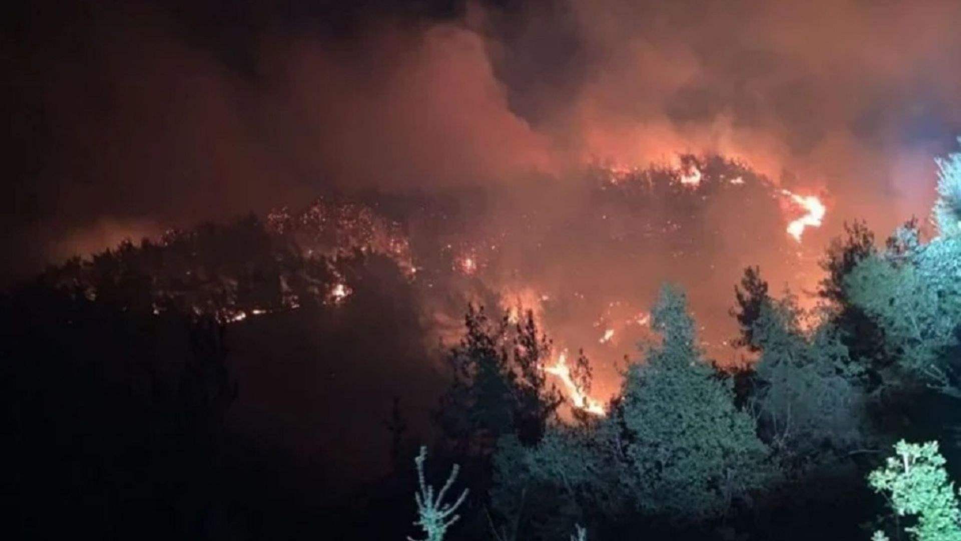 A large forest fire under control in Btormaz, Northern Lebanon   