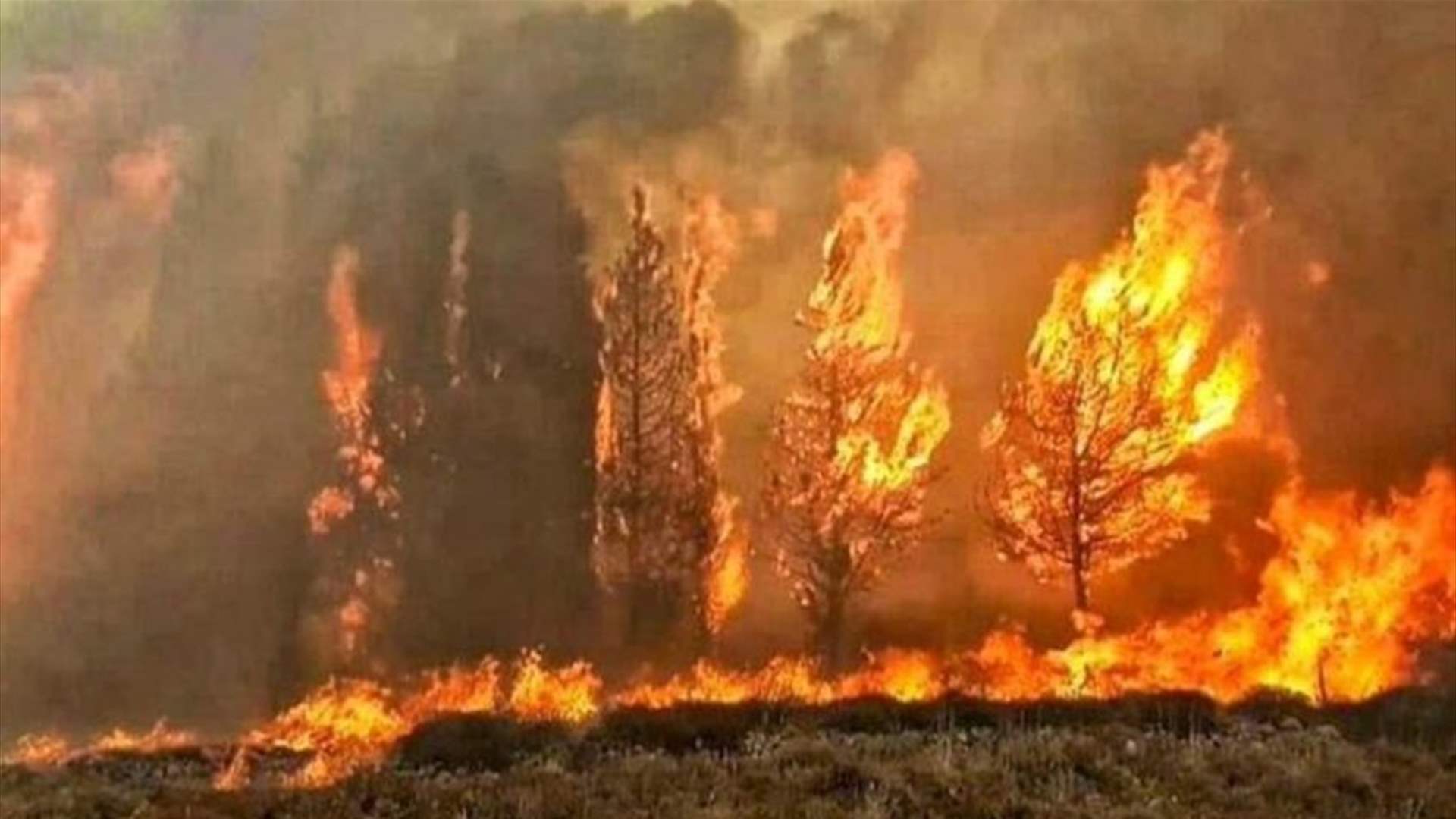 Environment Minister warns of higher fire risks until Sunday  