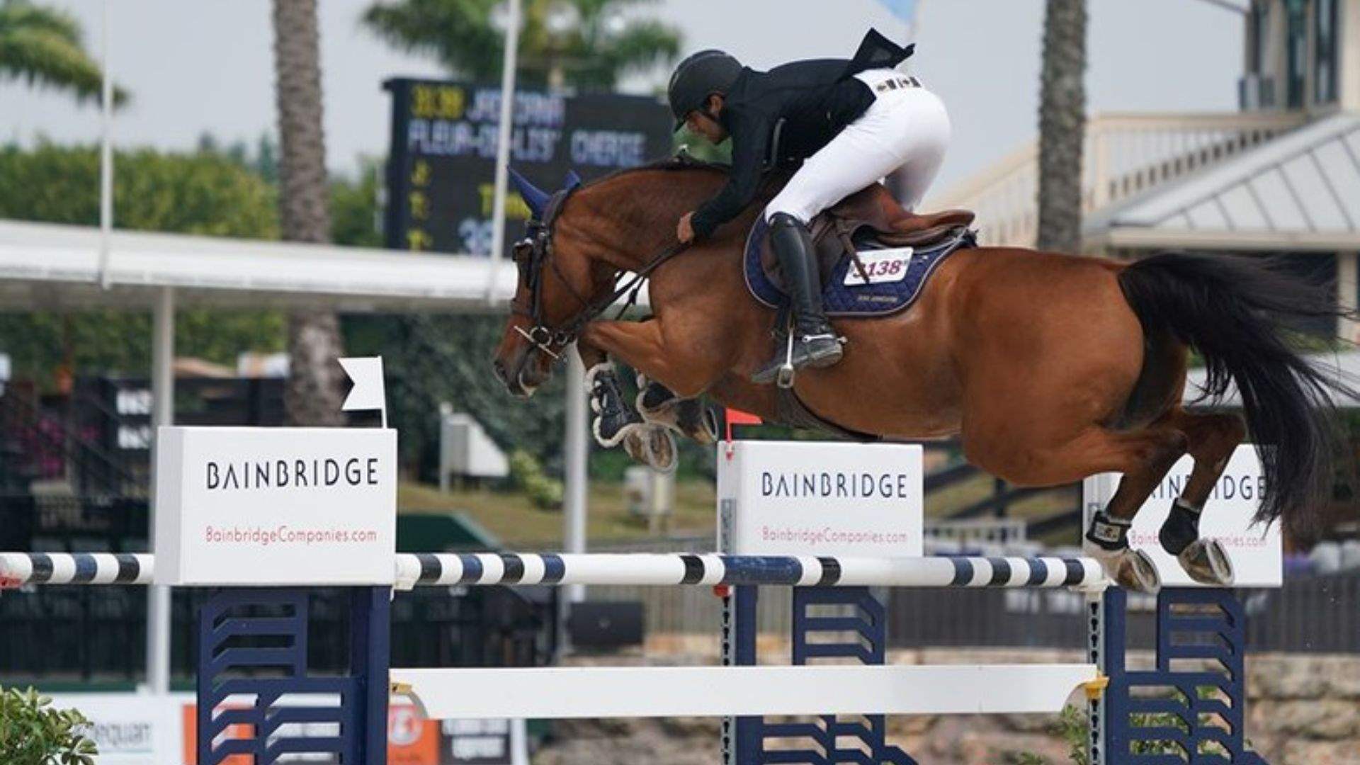 Lebanese equestrian Jad Dana excels in the US 