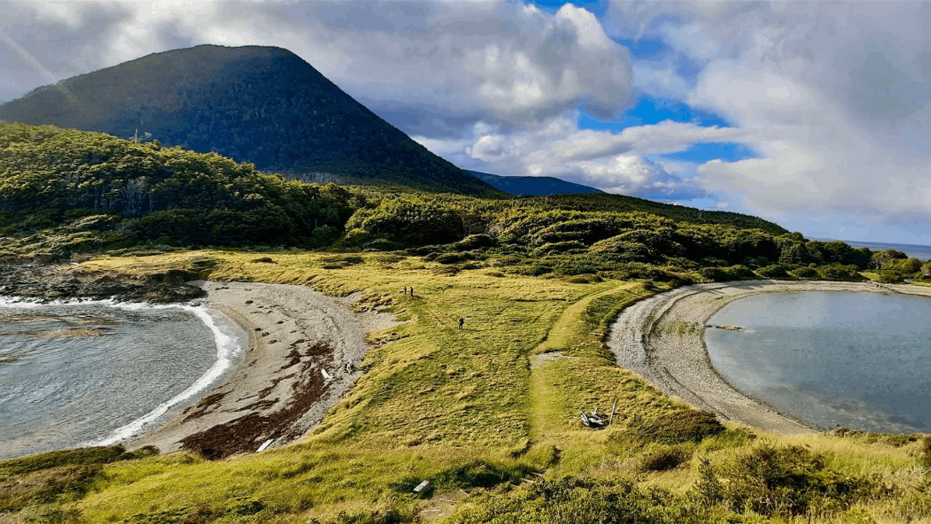 Chile announces biological corridor to protect endangered deer