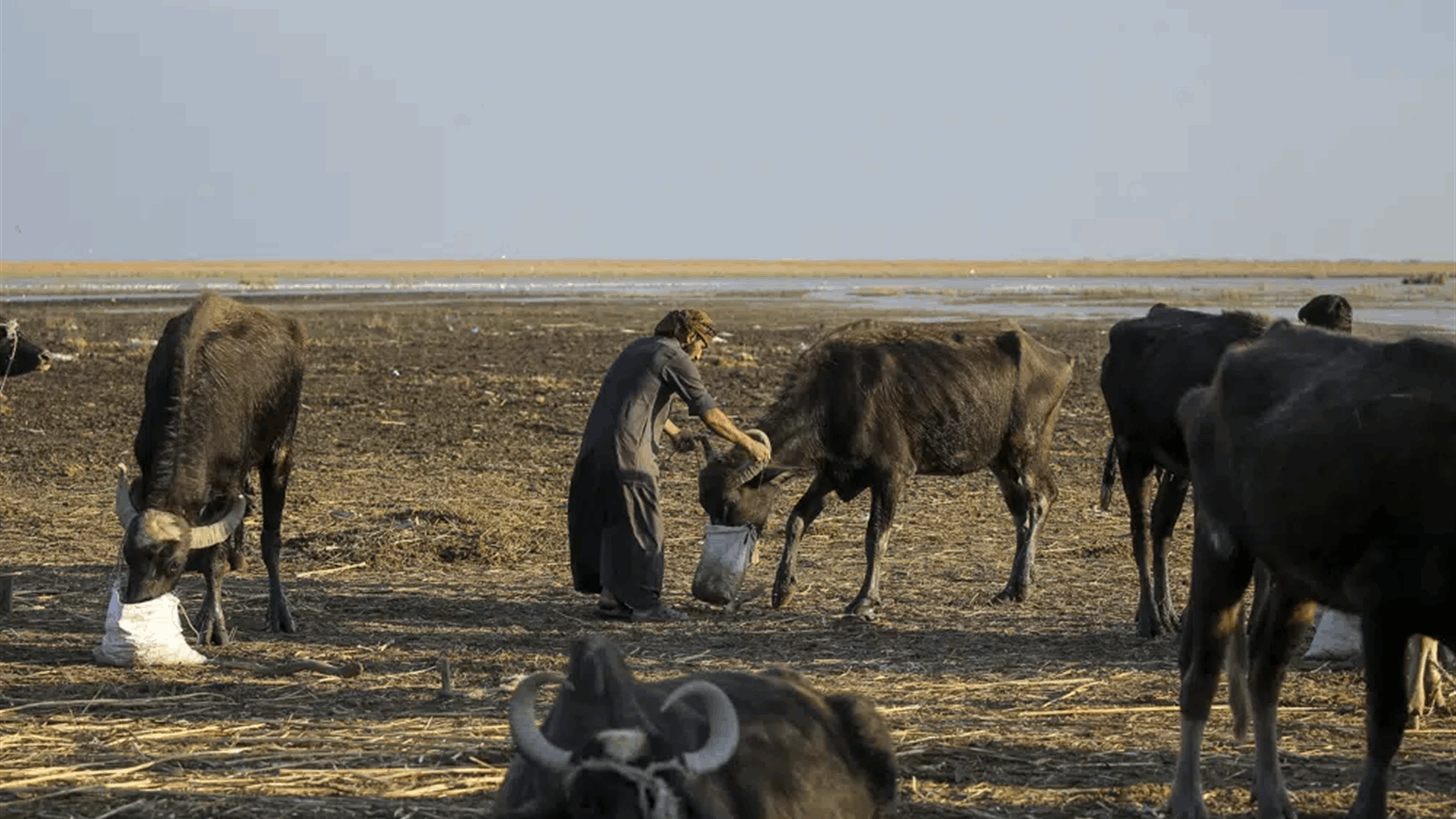 Iraqi PM promises action to tackle crippling climate change 