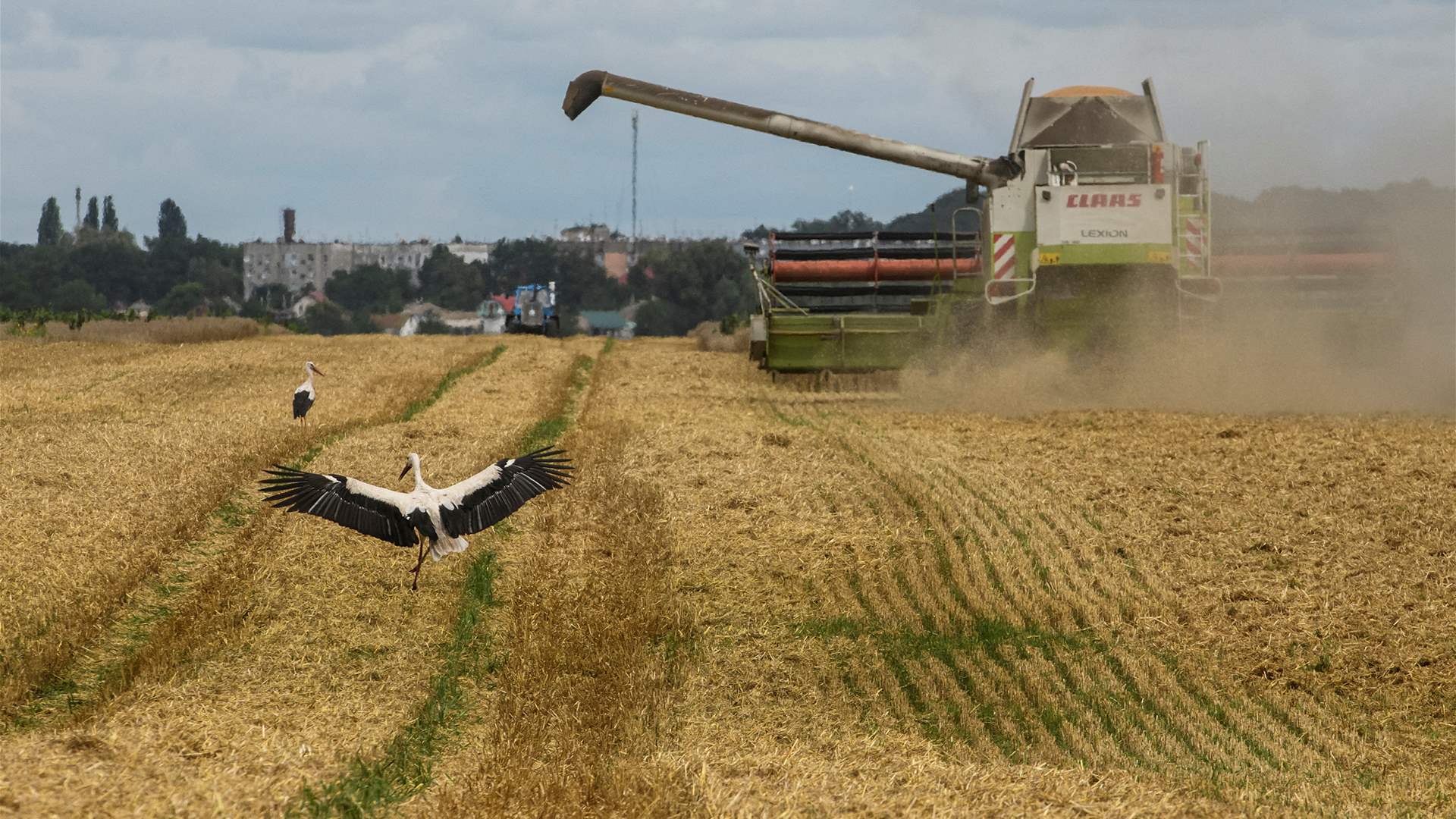 Talks underway on Black Sea grain deal extension in Geneva