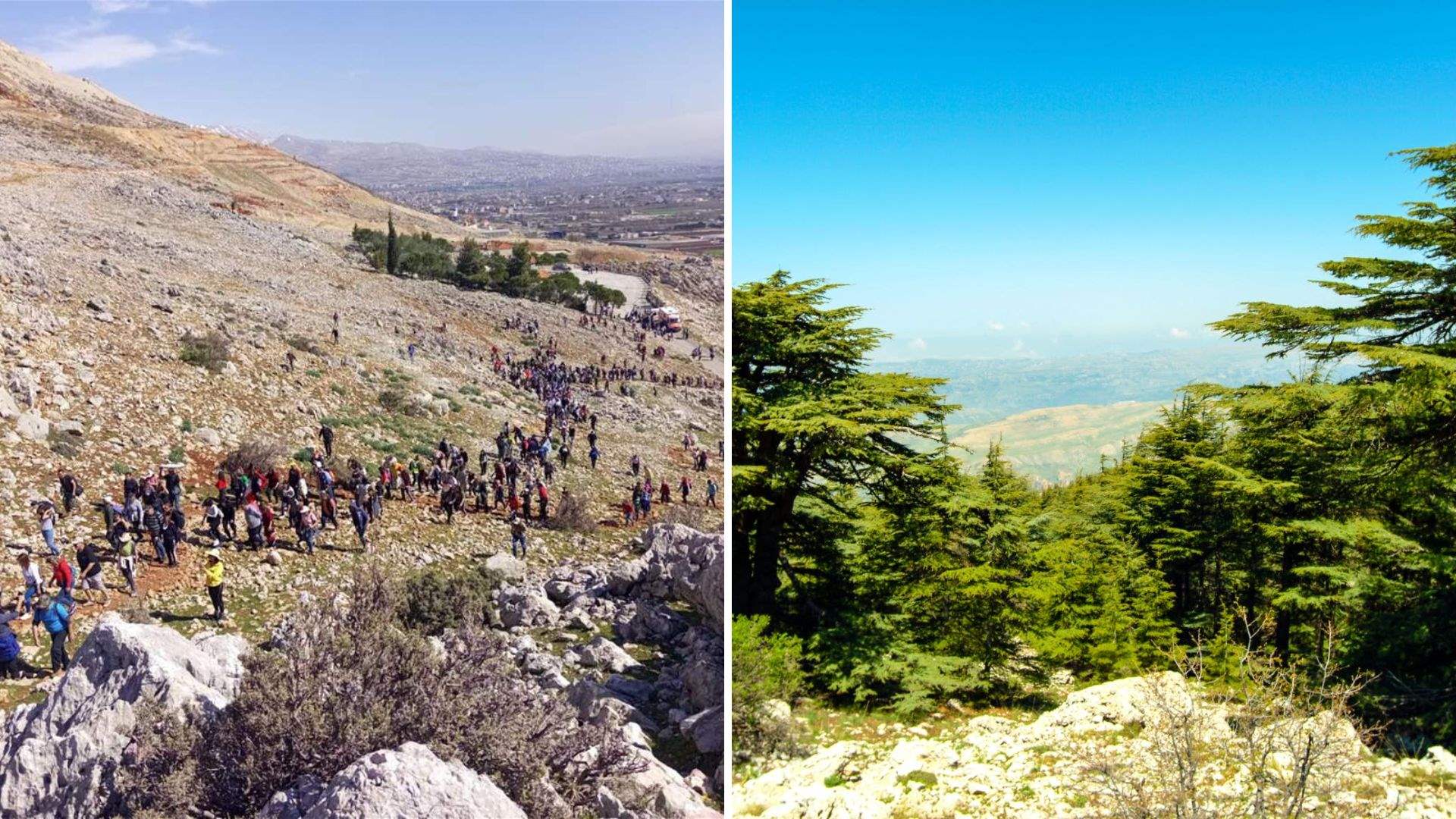 600 nature lovers walked on National Day of Reserves, demanding an end to logging   