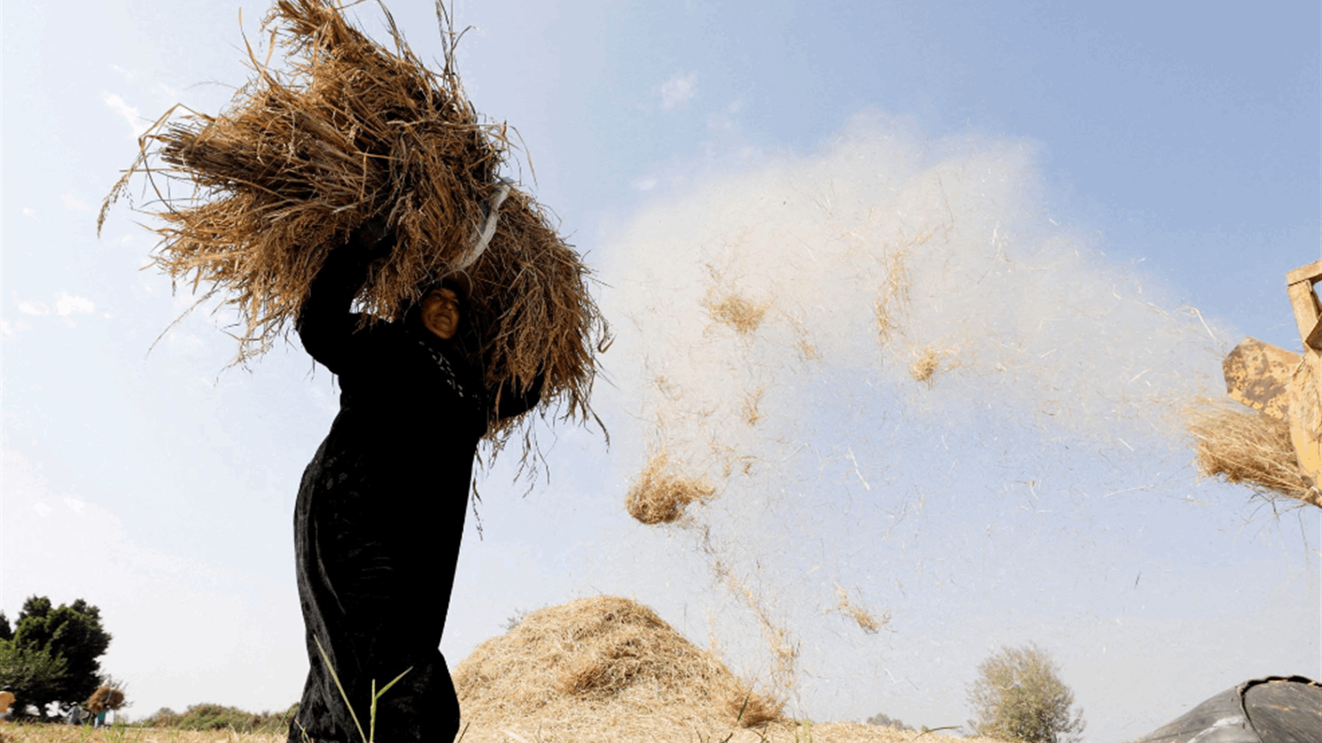 Egypt asset sales face obstacles as state maintains grip