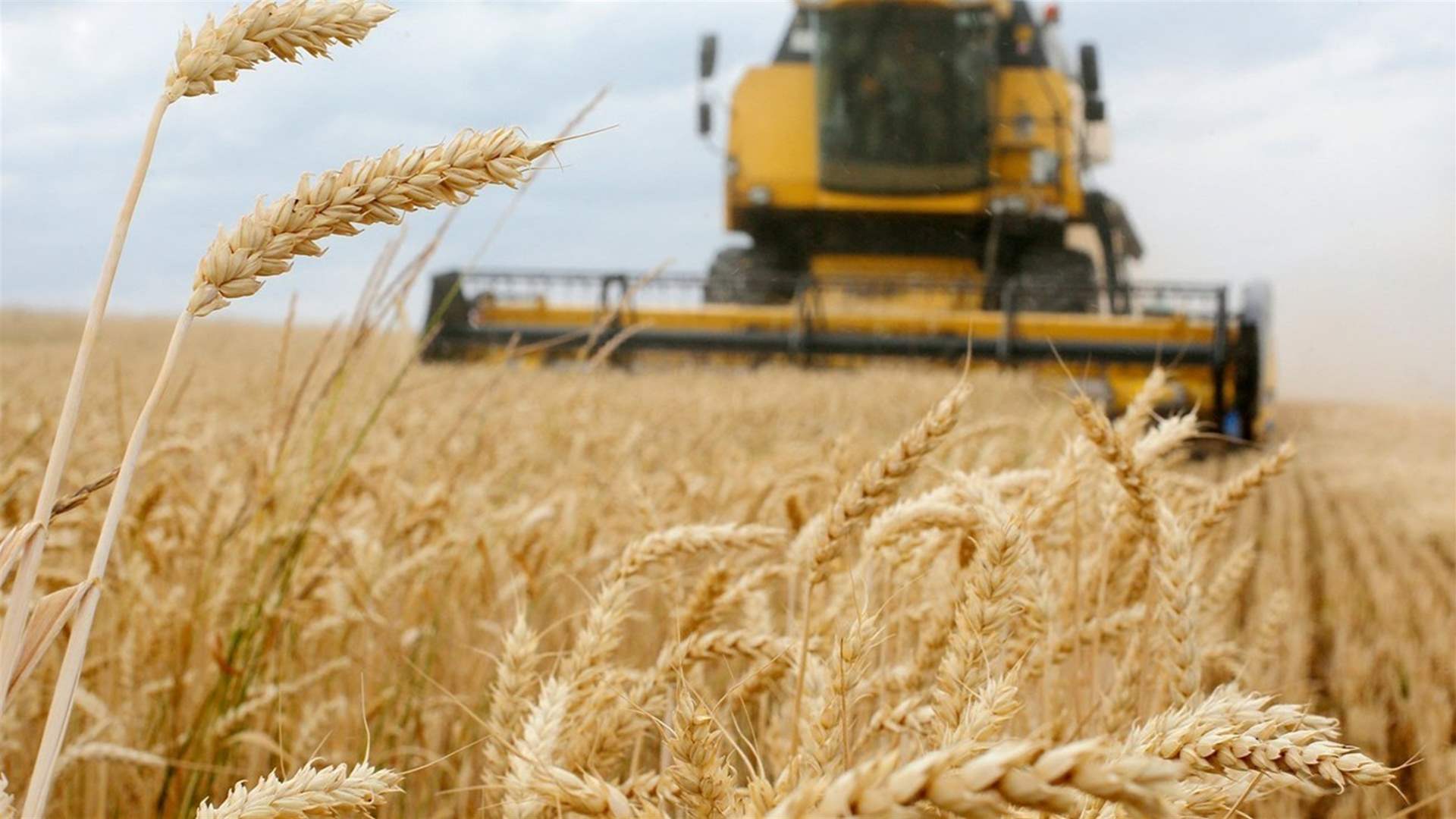 روسيا وافقت على تمديد اتفاقية تصدير الحبوب الأوكرانية 60 يوما 