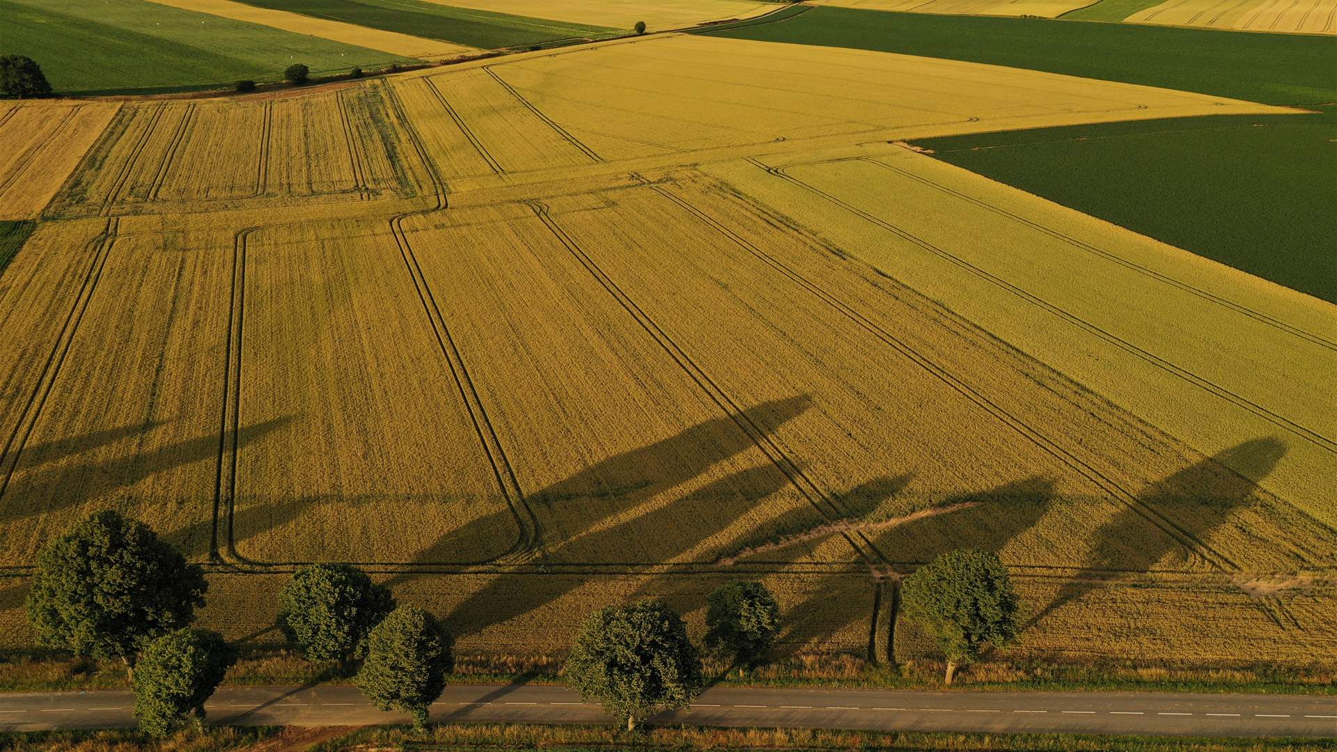 Crop merchant Louis Dreyfus gets profit boost in volatile year