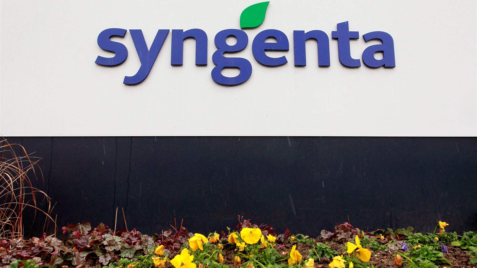 Syngenta&#39;s $9.5 bln IPO moves closer with Shanghai bourse hearing