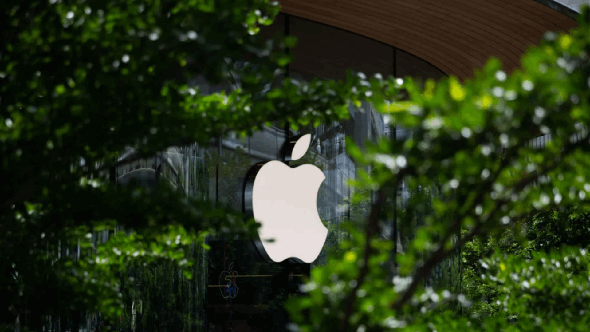 Apple acquired a startup using AI to compress videos