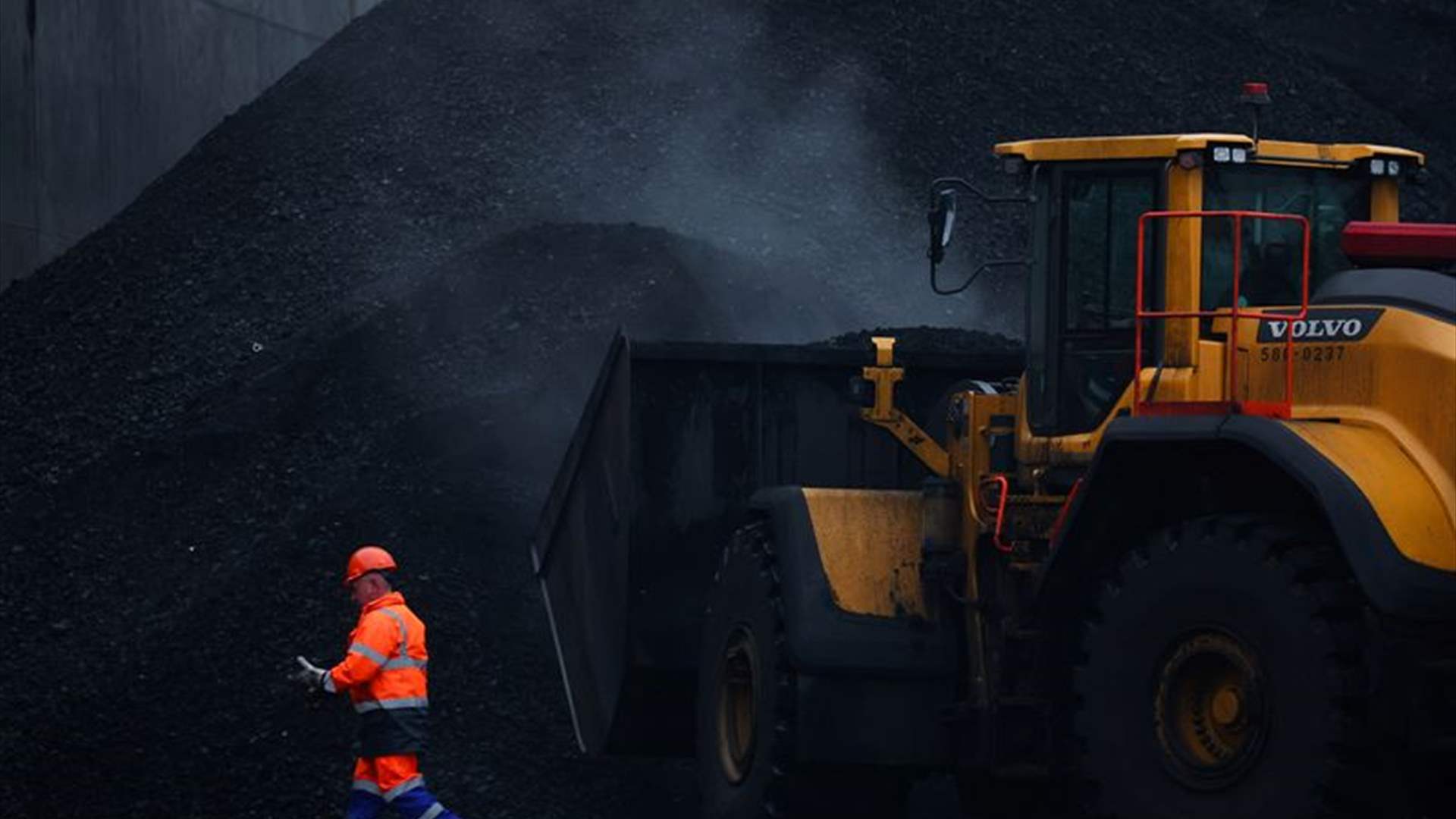 Stop insuring carbon projects &#39;immediately&#39;, NGOs tell CEOs 