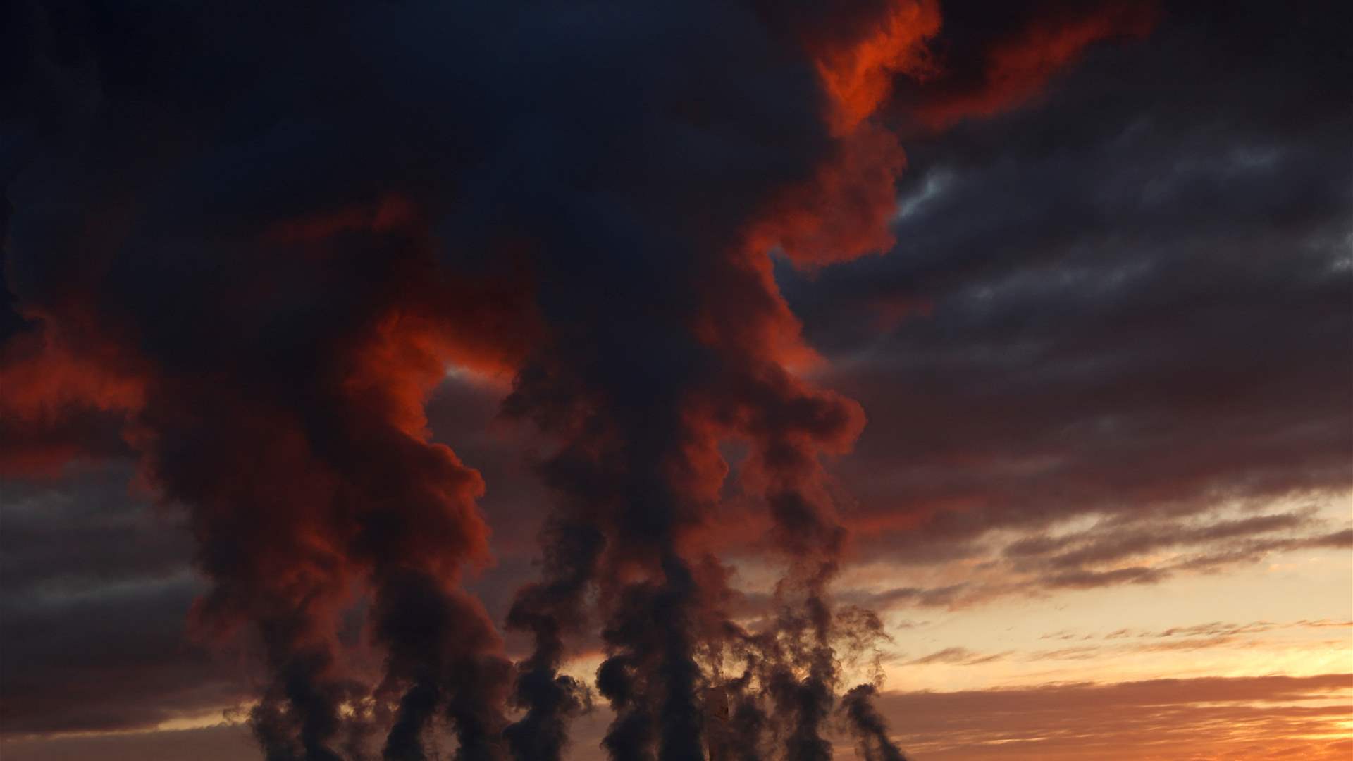 Drax shares fall after its project misses out on UK carbon cash