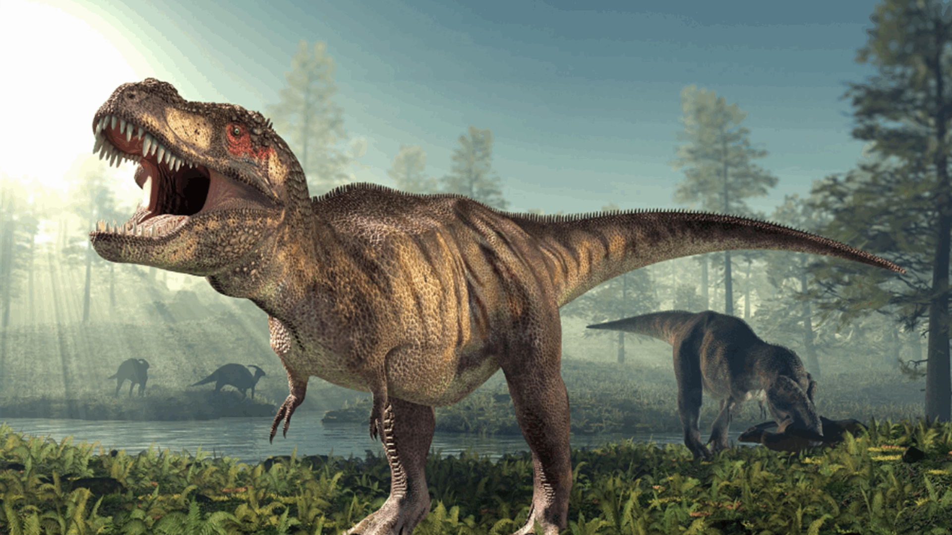 دراسة تكشف... أنياب ديناصورات &quot;تي-ريكس&quot; لم تكن بارزة كما كان يُعتقد