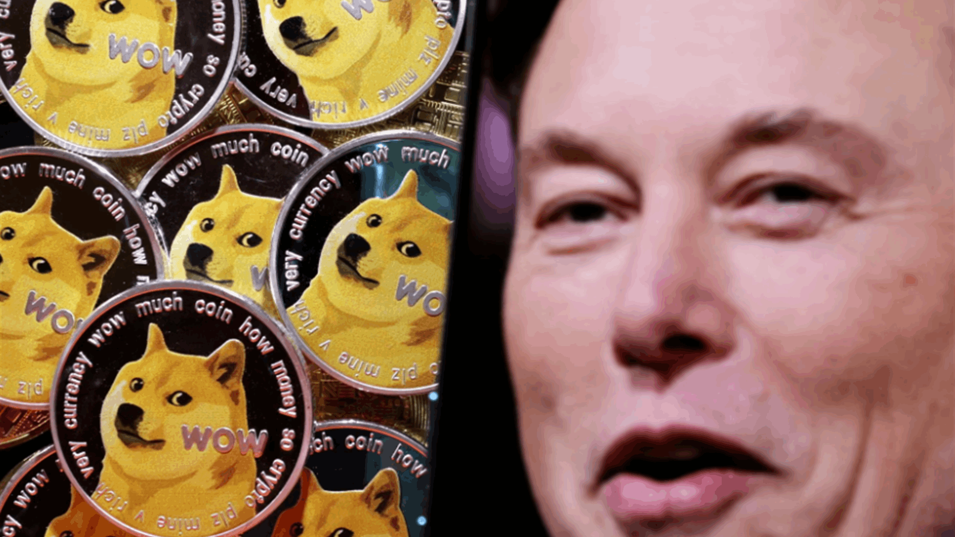 Elon Musk seeks to end $258 billion Dogecoin lawsuit