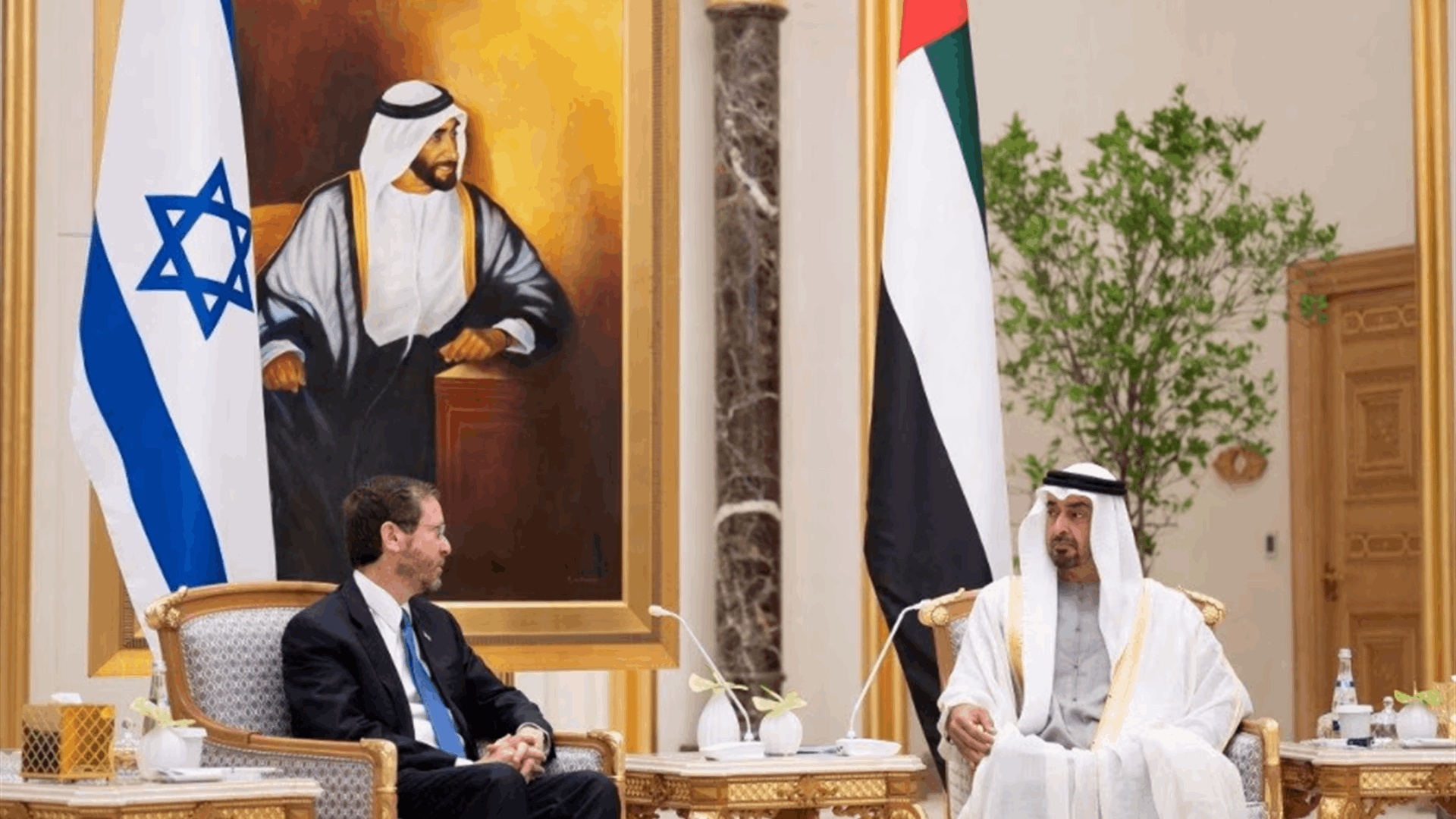 UAE plans long-term economic ties with Israel despite political strains
