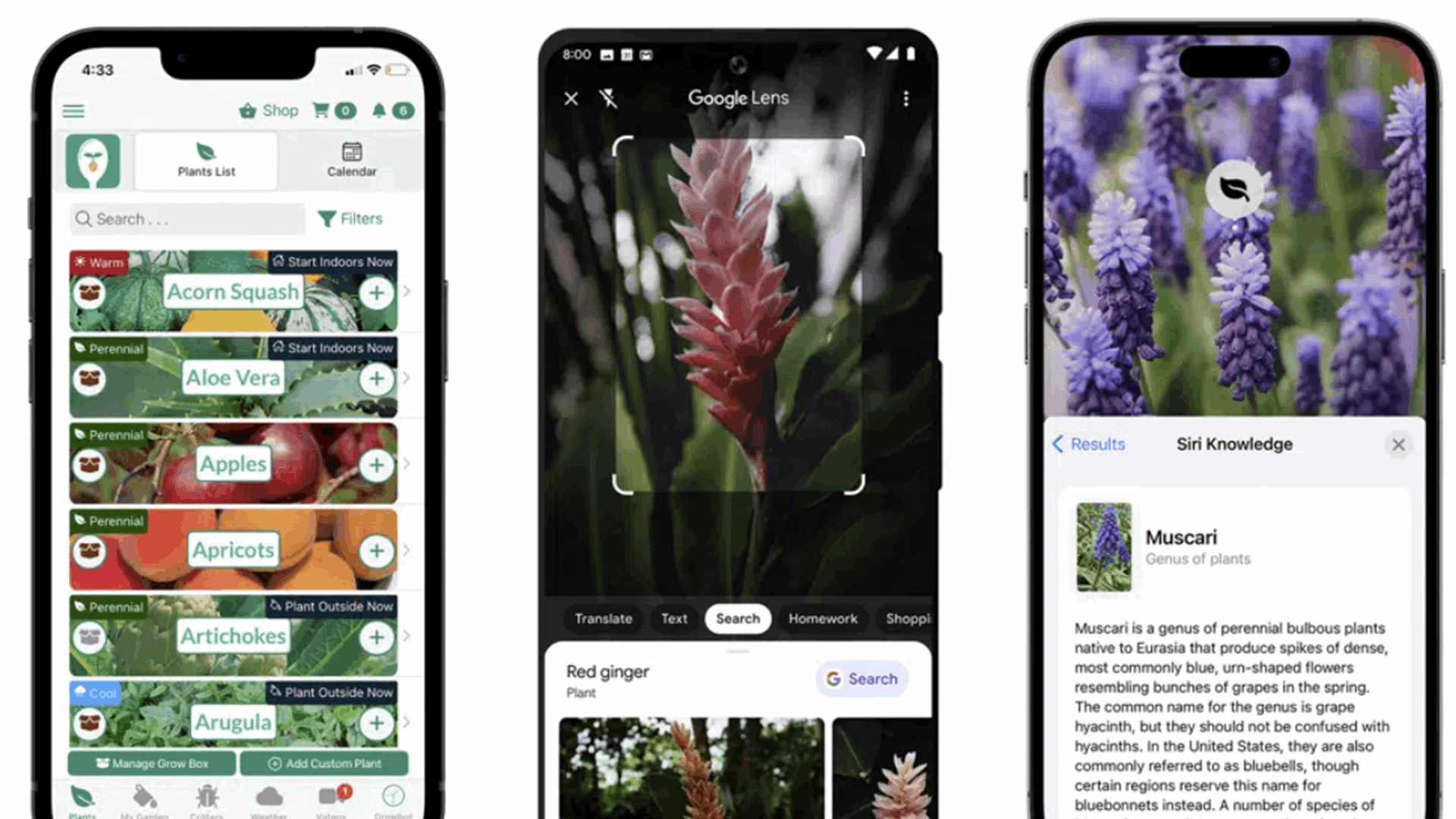 Gardening help in the palm of your hand: 5 apps, phone tips