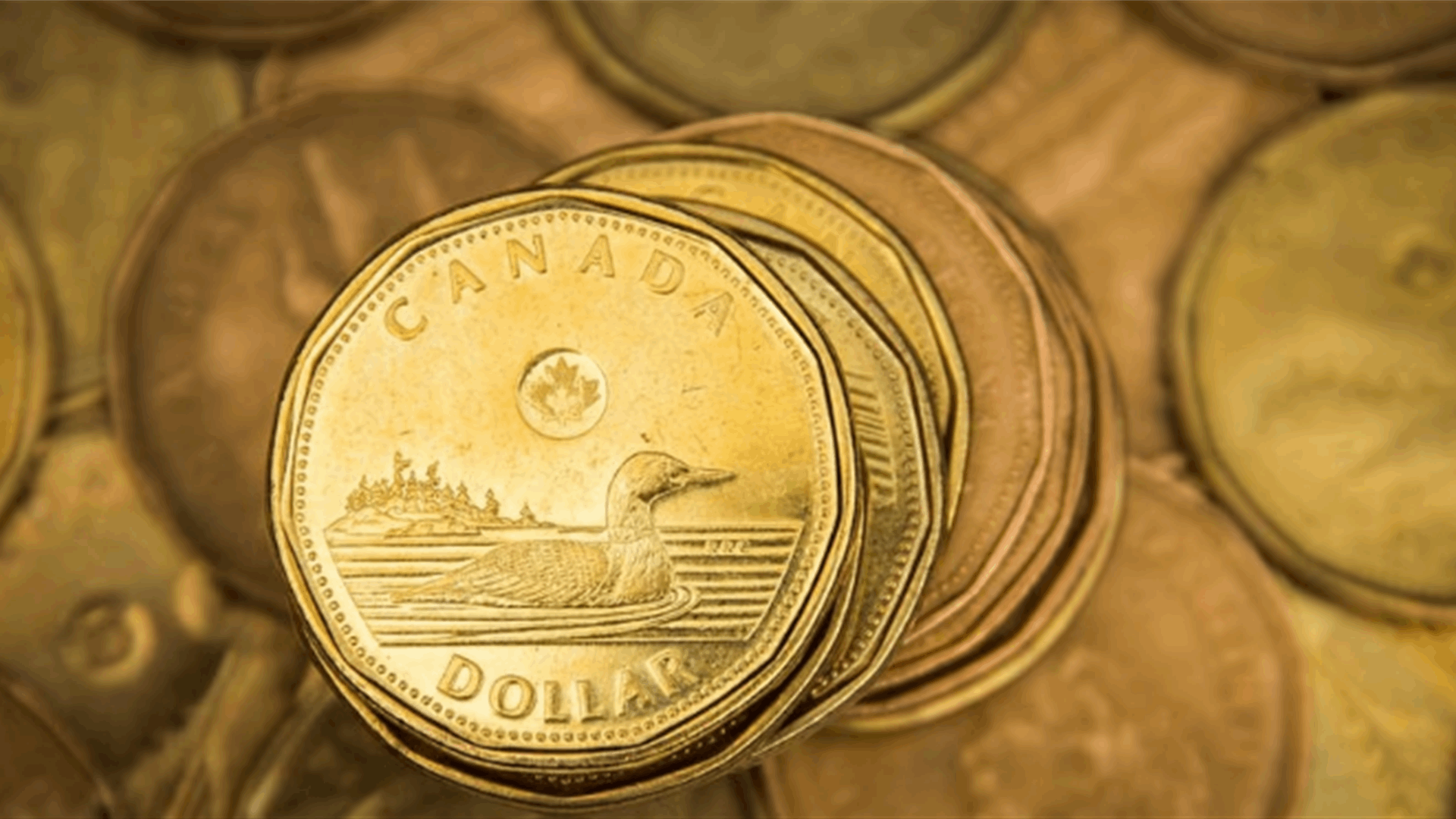 Canadian dollar seen up in one year if economy avoids hard landing: Reuters poll