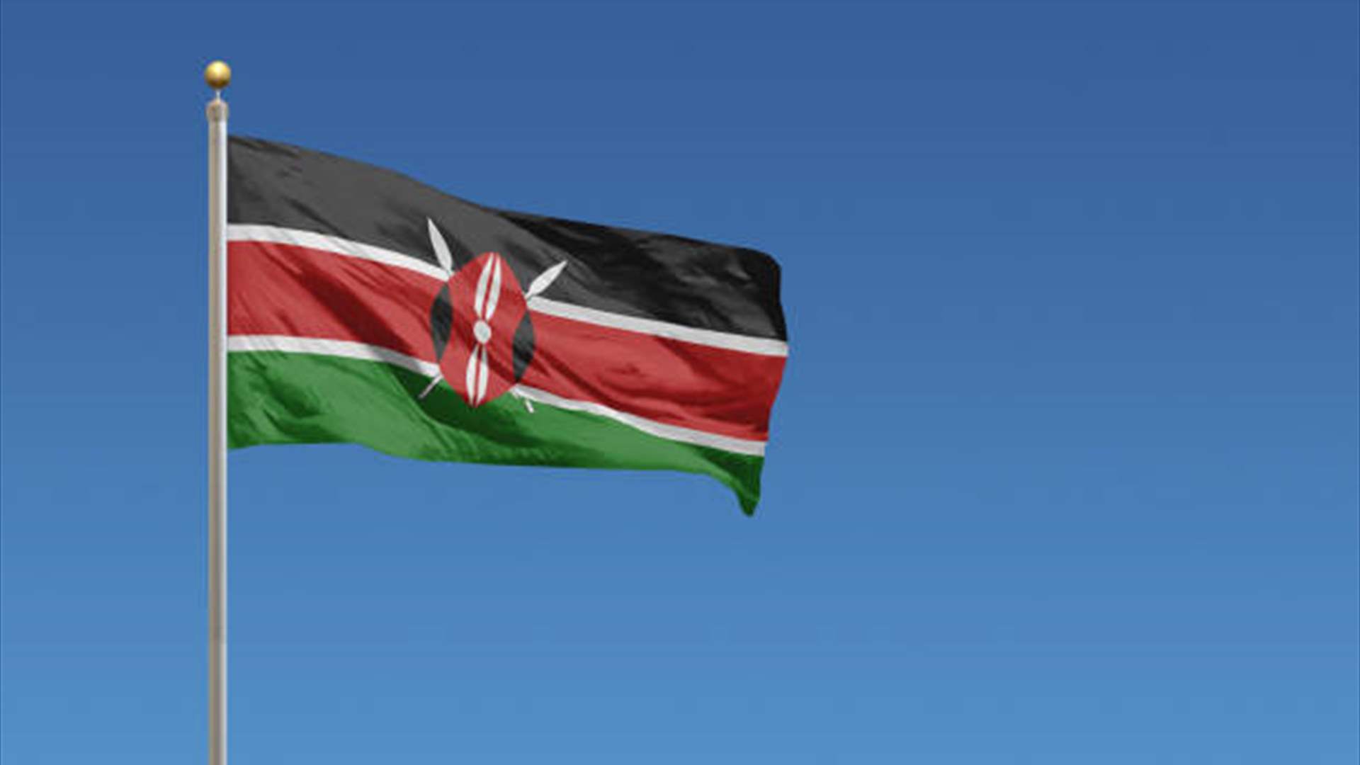 Kenya private sector activity in March; weaker shilling hurts - PMI