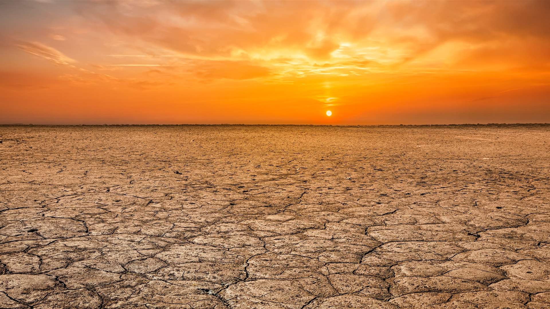  Earth had second-warmest March on record: monitor