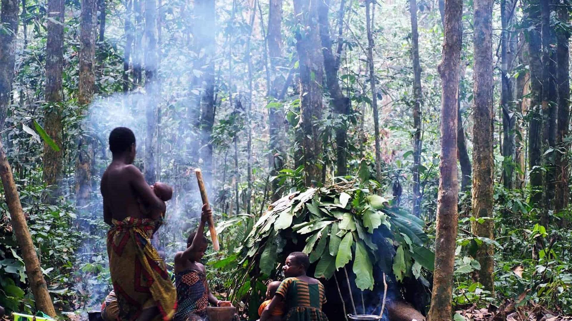 Forest plundering threatens Aka pygmies of Central Africa