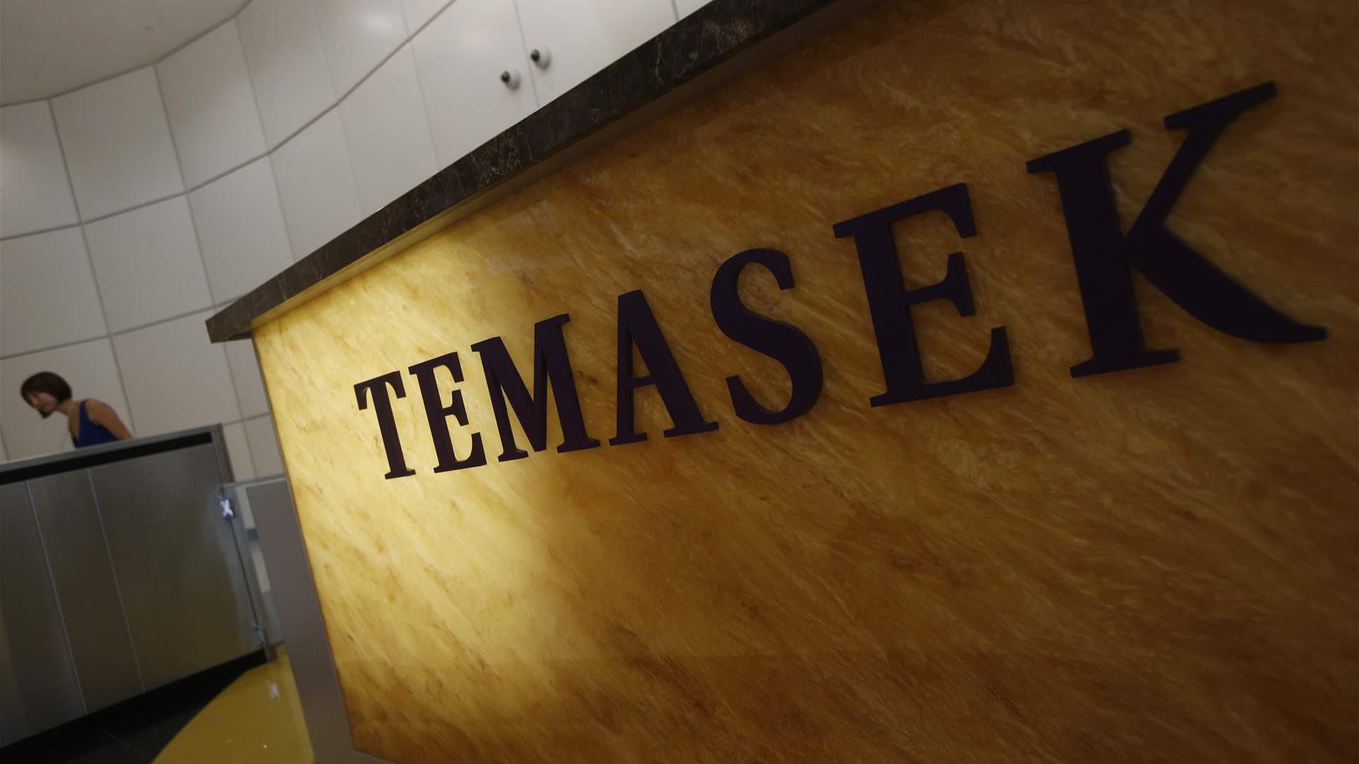 Temasek buys 41% stake in India's Manipal Health for $2 bln- source