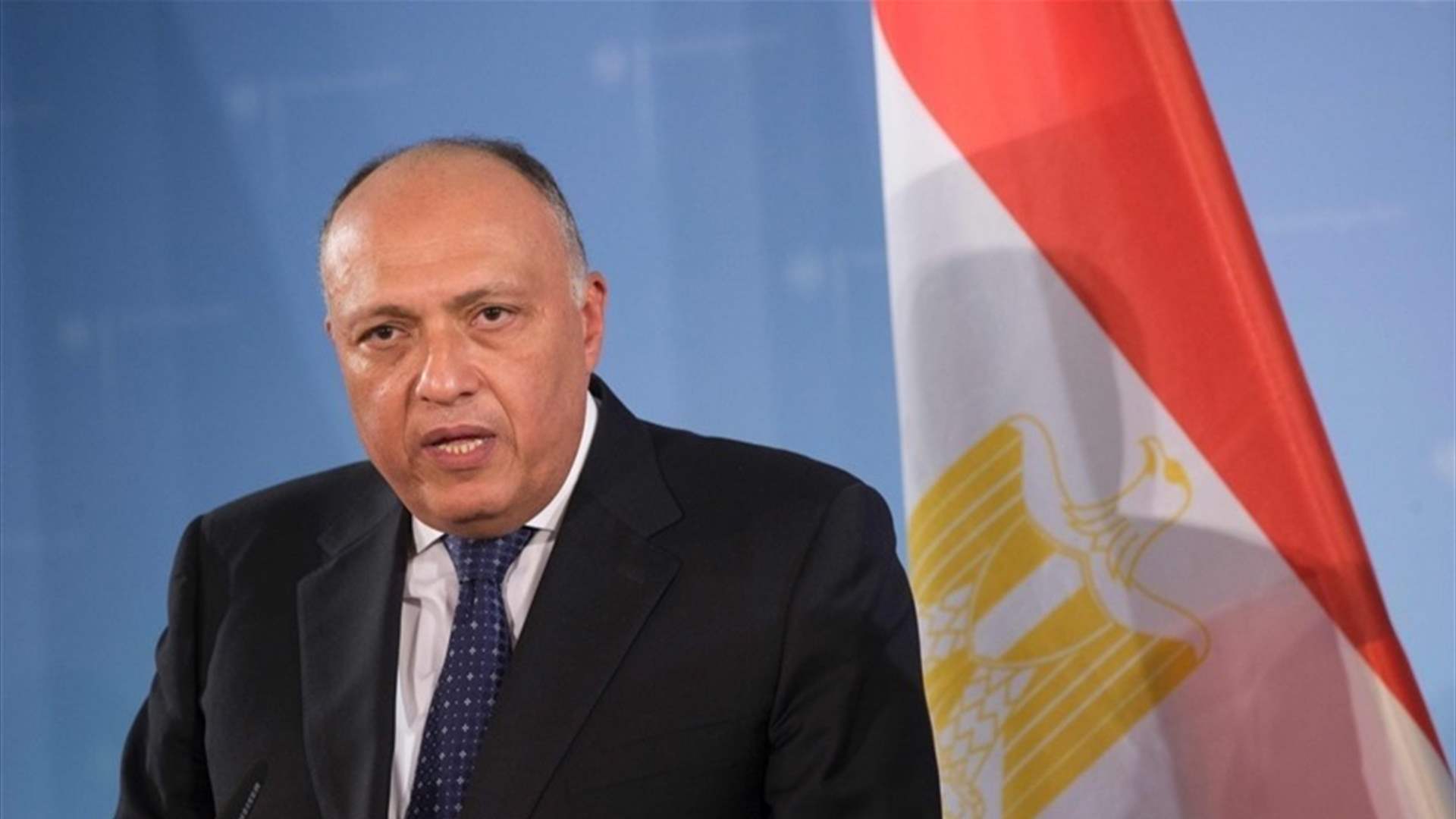 وزير الخارجية المصري لبيدرسون: لضرورة القضاء على الإرهاب في سوريا وإنهاء التدخل الخارجي فيها