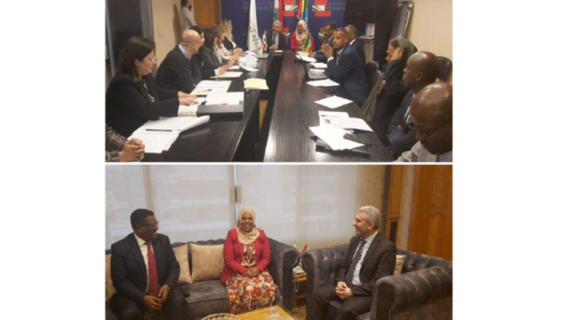 Labor Minister discusses employment, signing agreement between Ethiopia, Lebanon