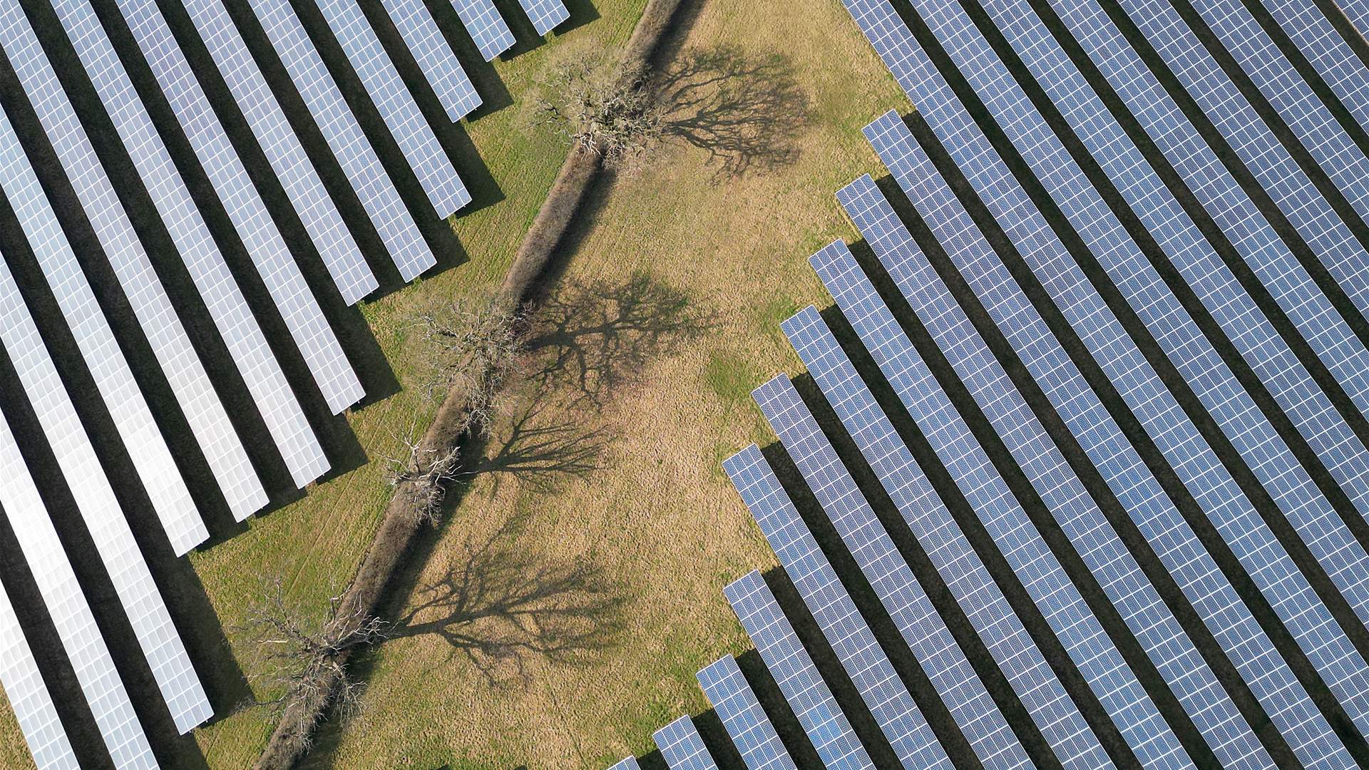 Wind and solar hit record 12% of global power generation last year