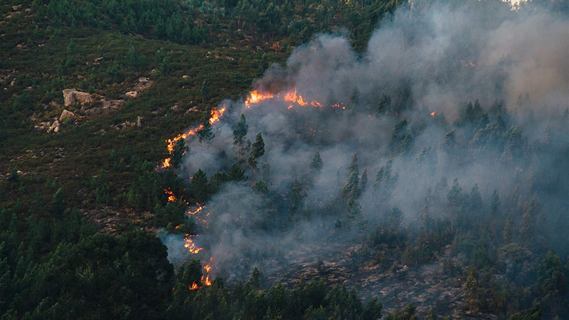 Insurance woes plague efforts to cut growing wildfire risks