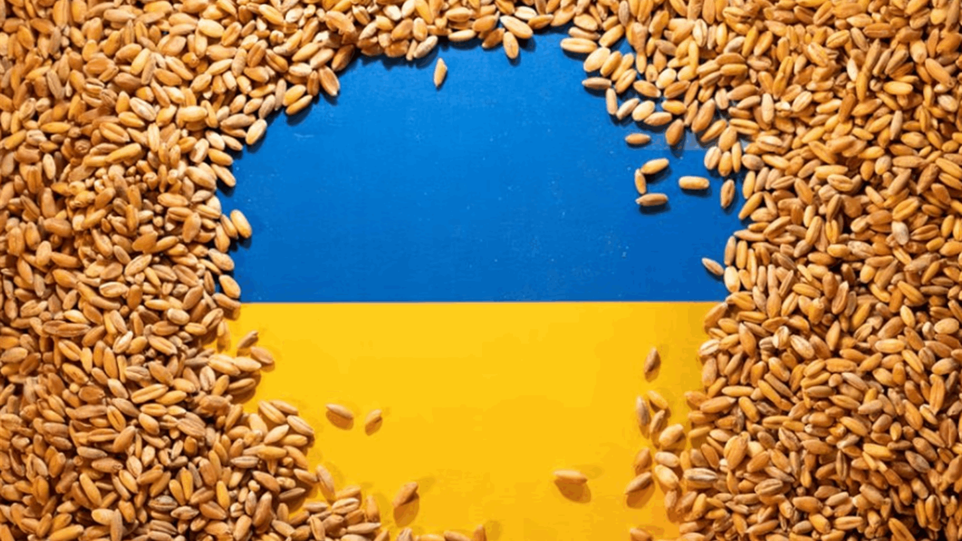 Ukraine seeks re-opening of food transit via Poland at talks