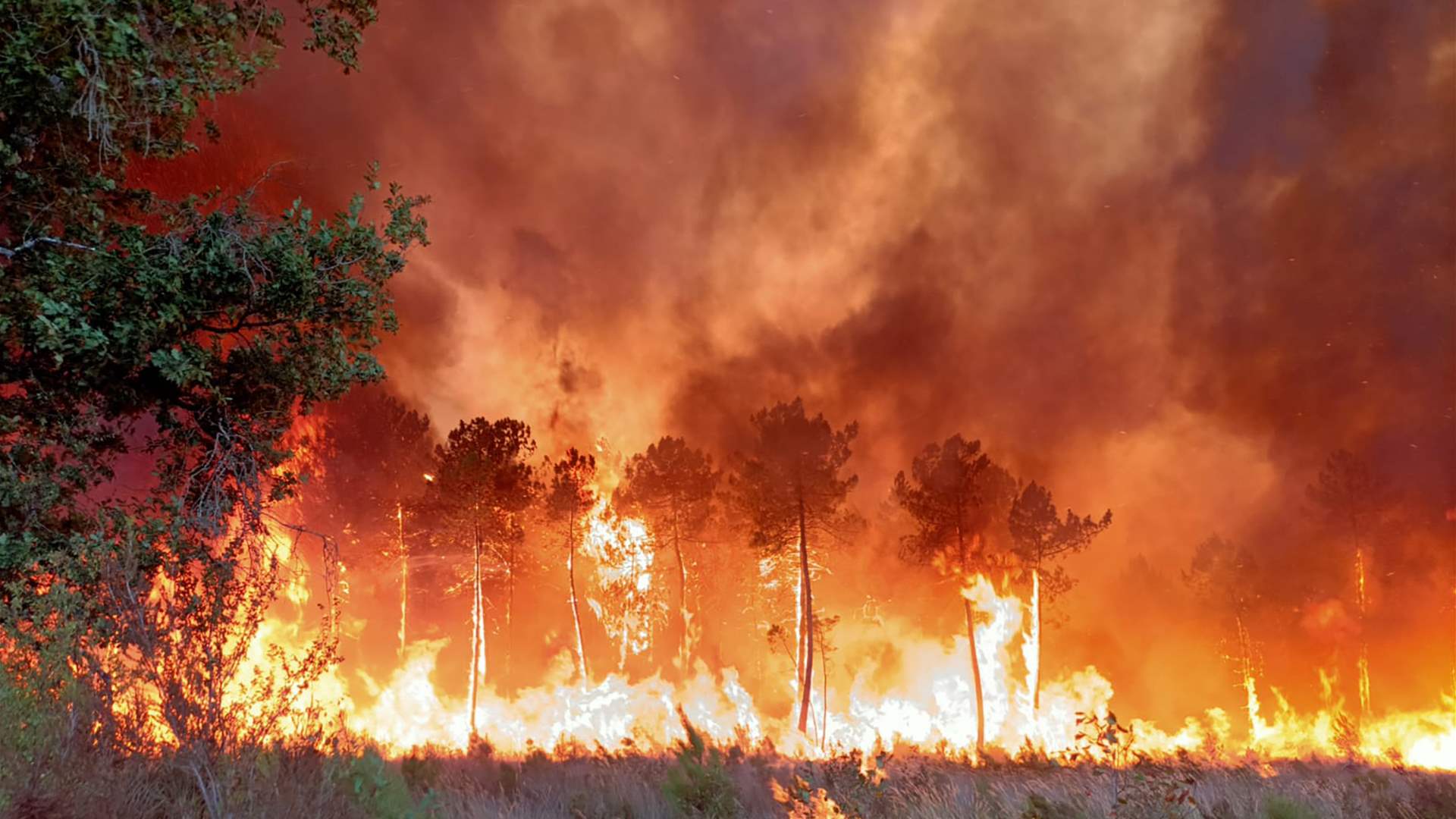 Wildfire on French-Spanish border destroys 1,000 hectares