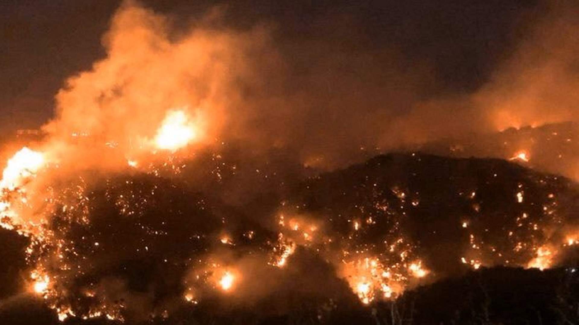 Lebanon faces rising frequency of forest fires: report 