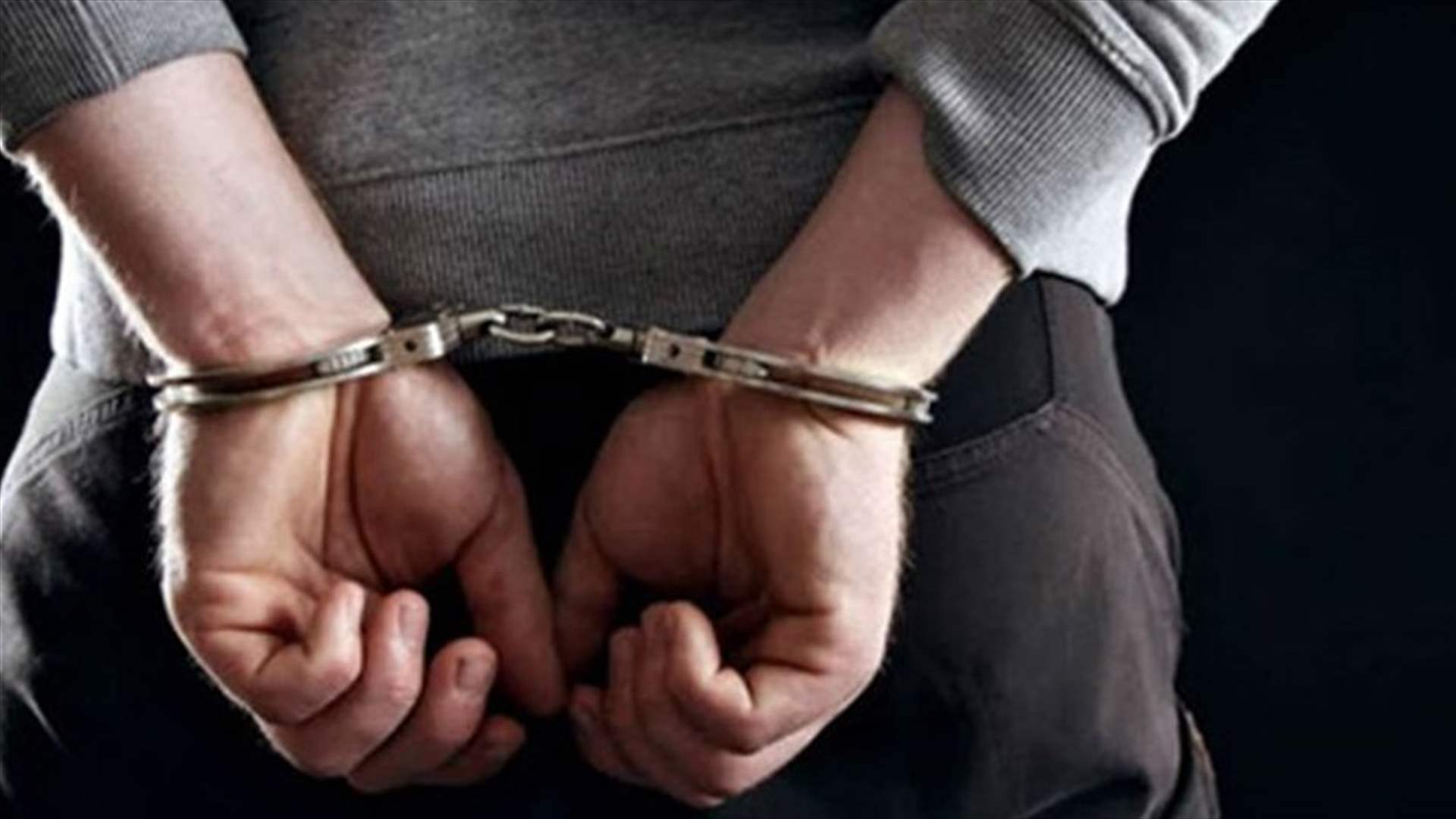أمن الدولة توقف سارقاً في النبطية   