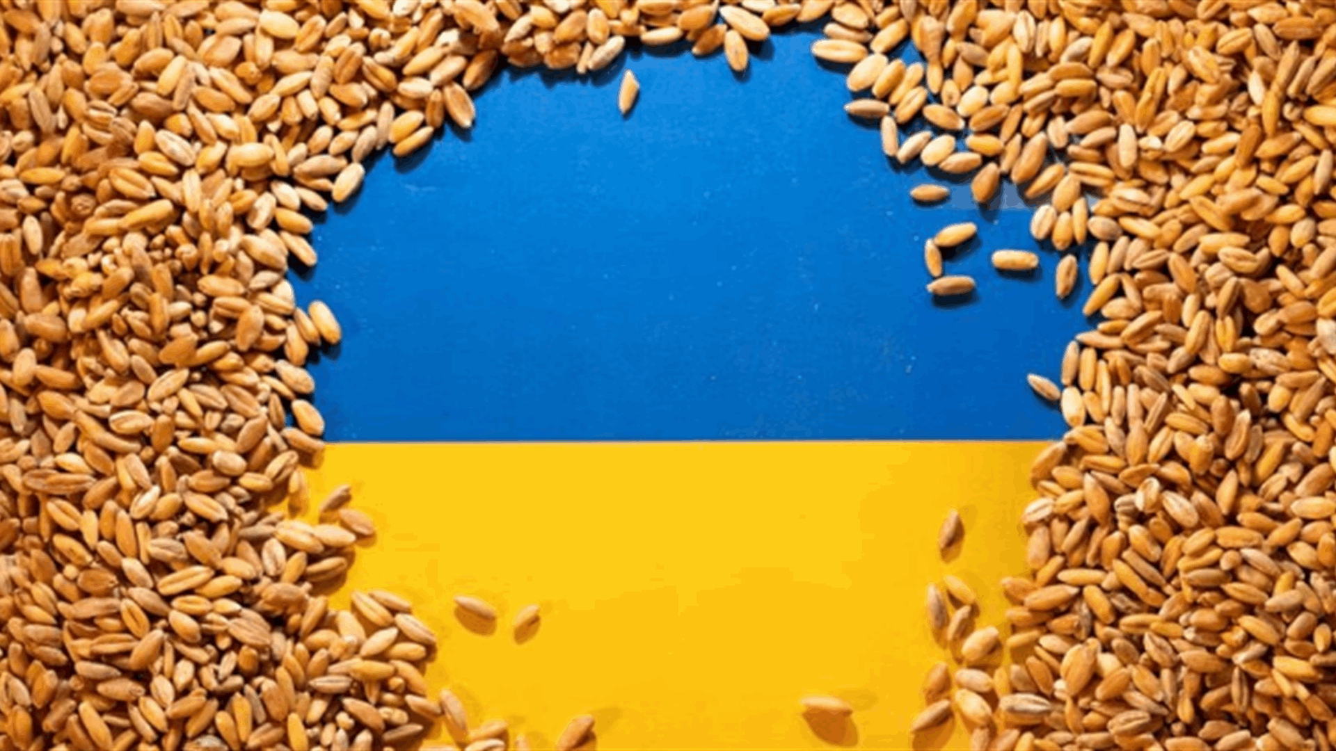 Hungary to allow transit of Ukrainian grain, protect farmers, minister says