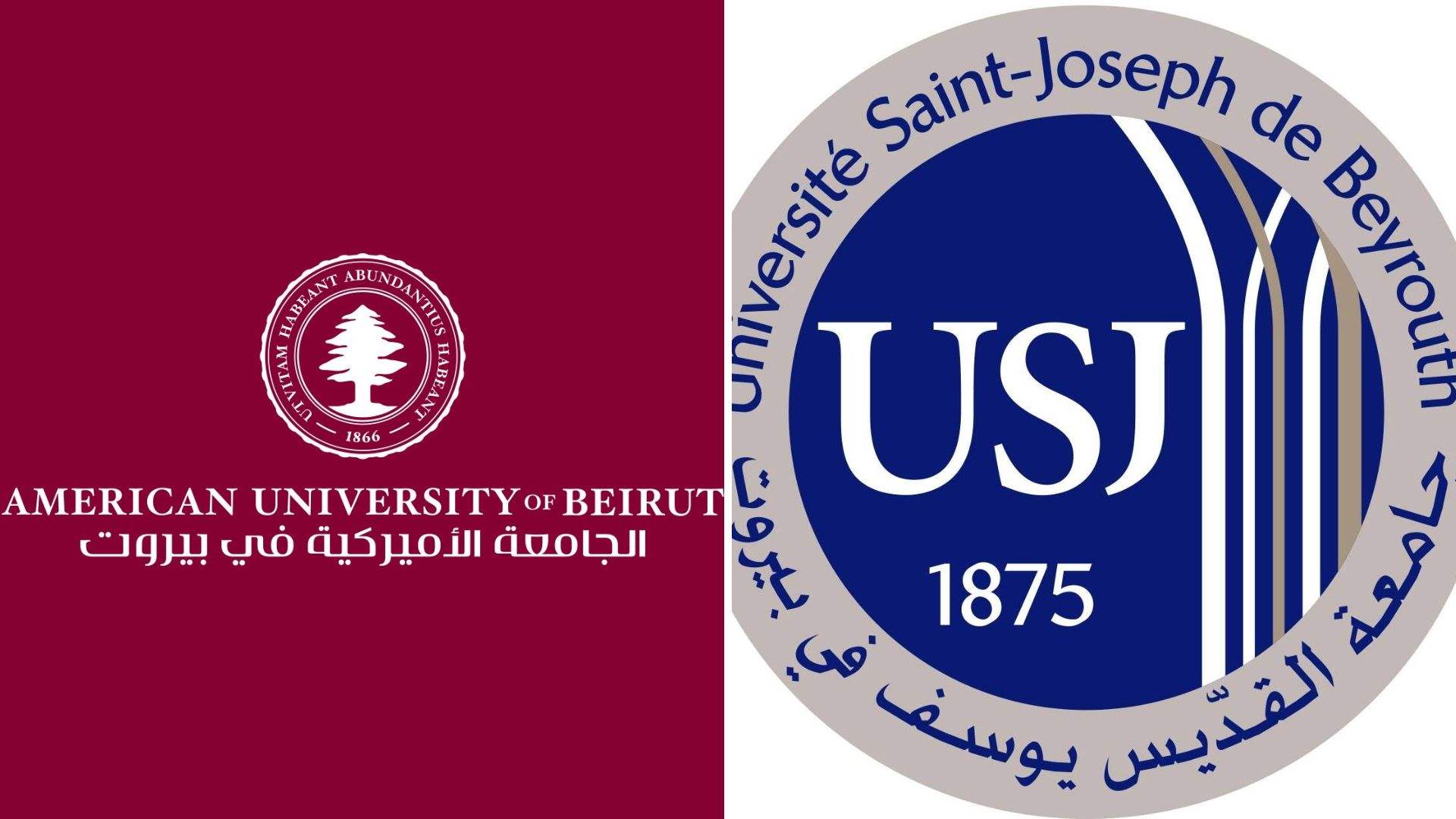 AUB, USJ issue joint statement, say freedom of expression is basis of Lebanon's advantage in the region  