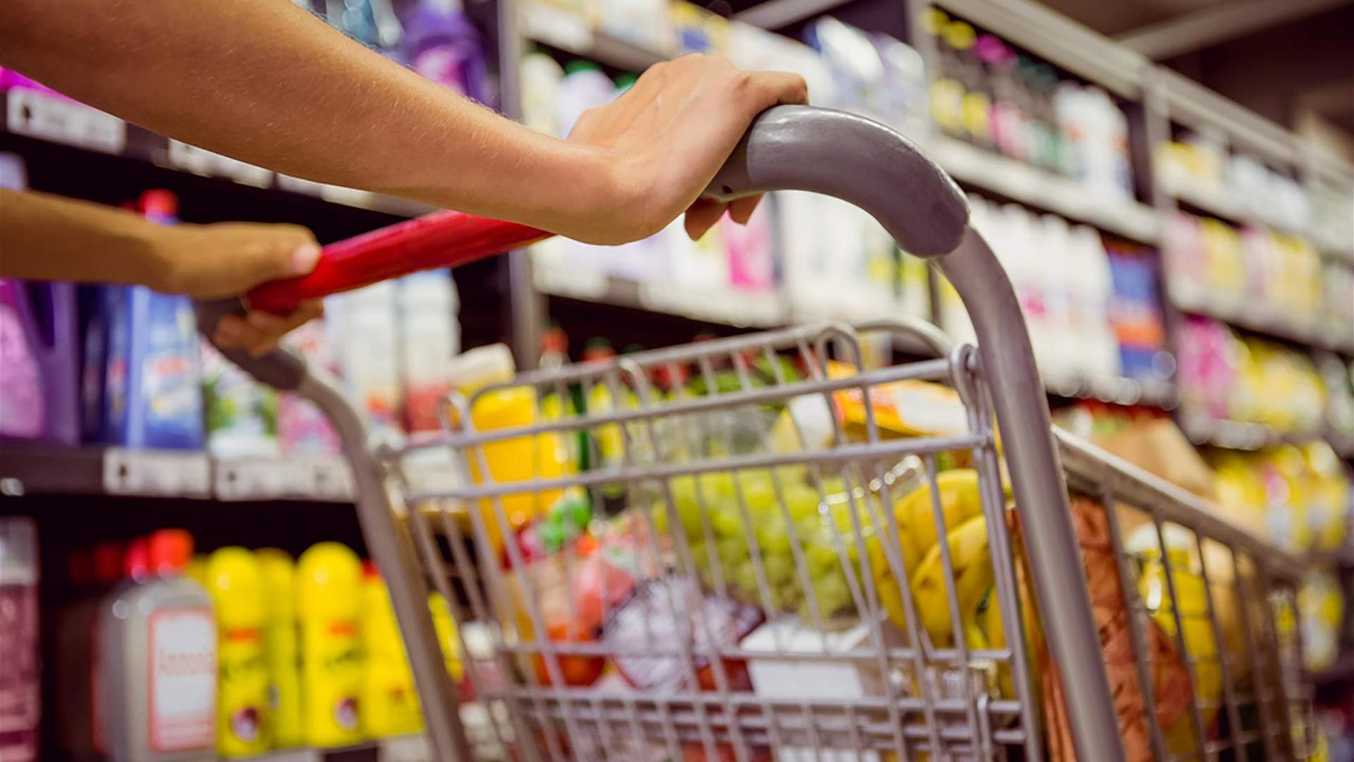 Basic commodity prices to rise by 15% if customs dollar reaches LBP 90,000: Food Importers' Syndicate  