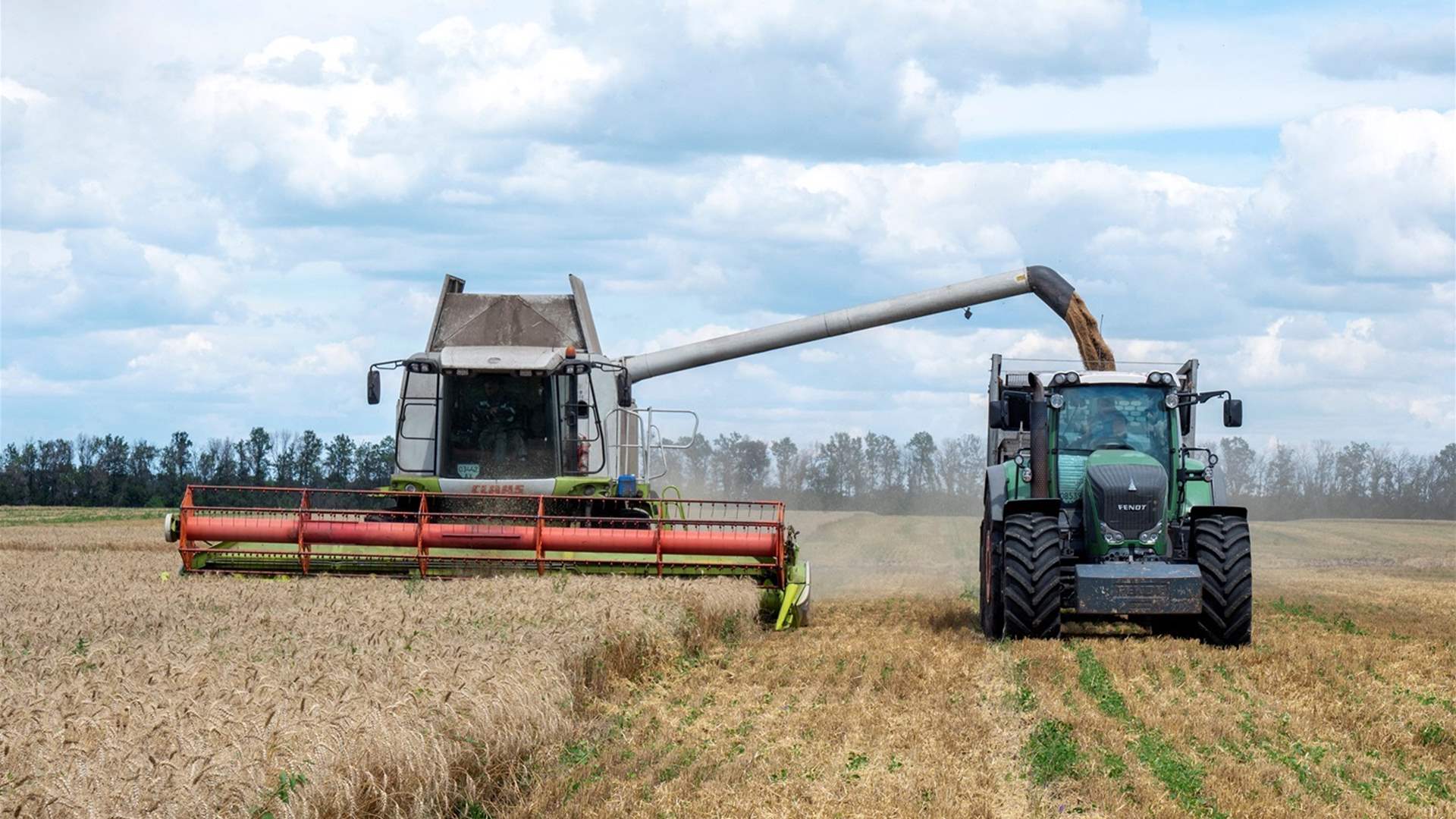 Eastern EU farmers fume over Ukraine grain influx