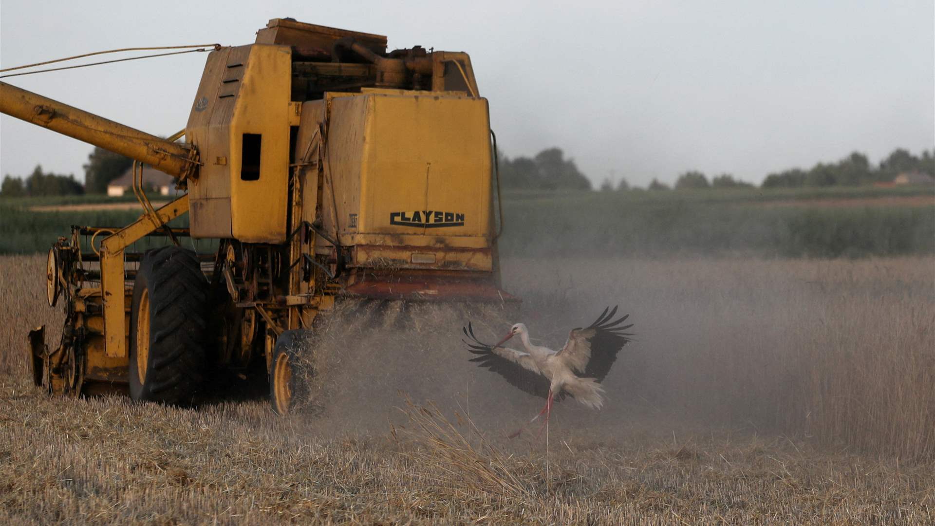 Poland resumes transit of Ukrainian grain