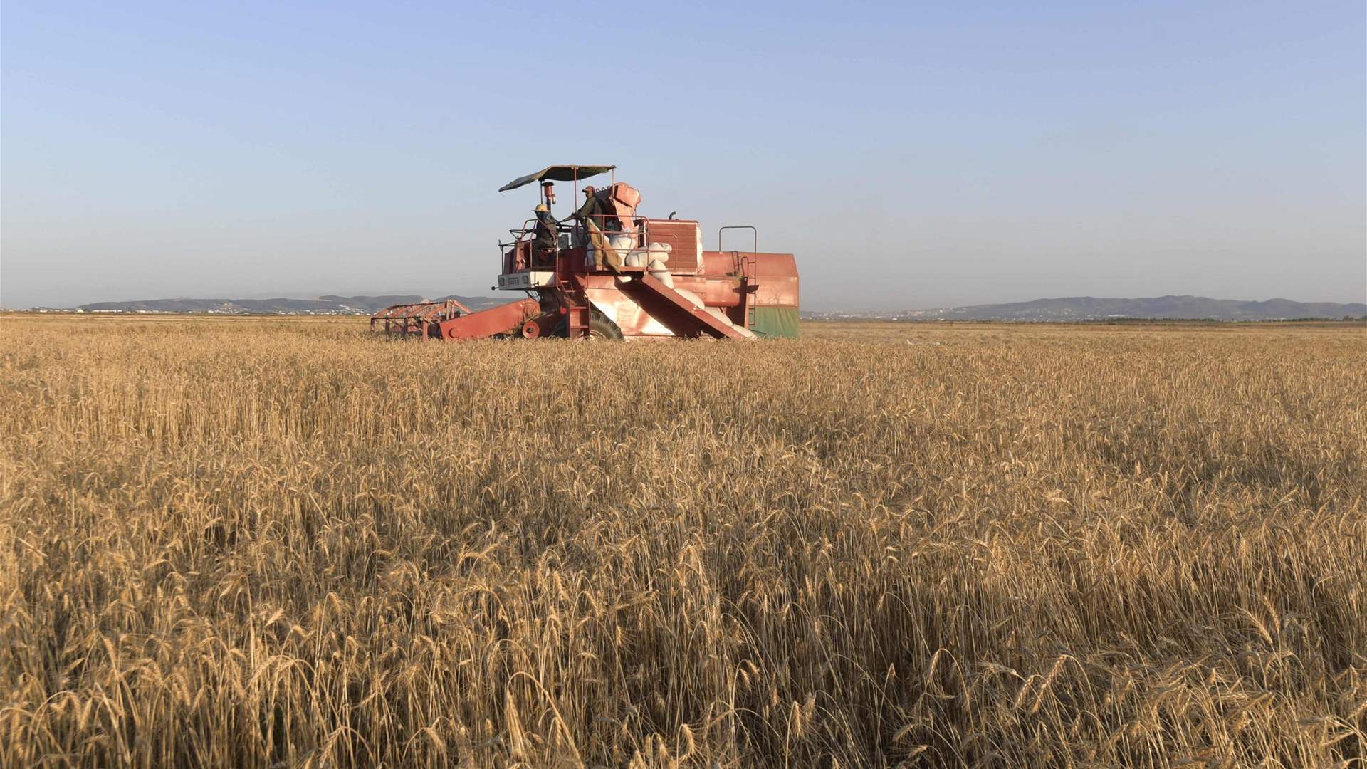 Turkey imposes 130% import tariff on some grain imports