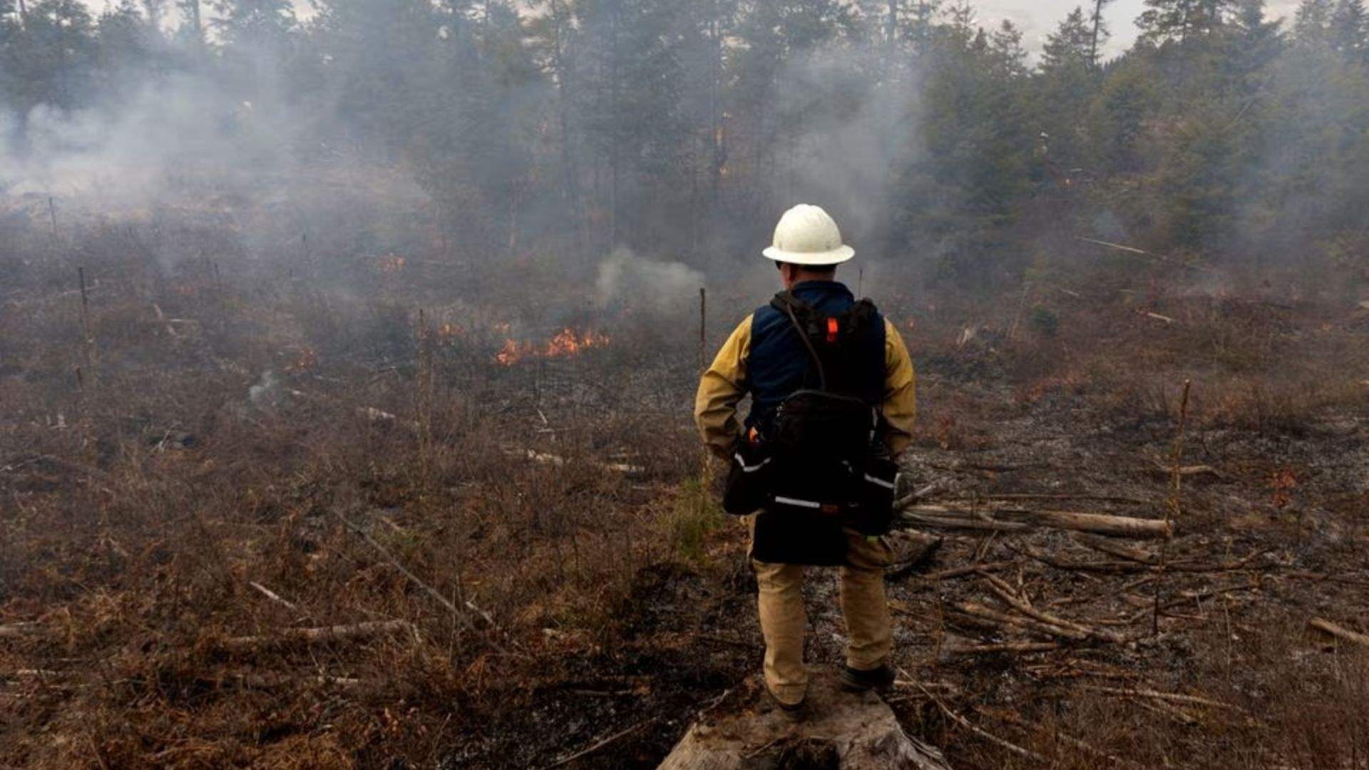 US West Coast races to reduce wildfire risk ahead of summer