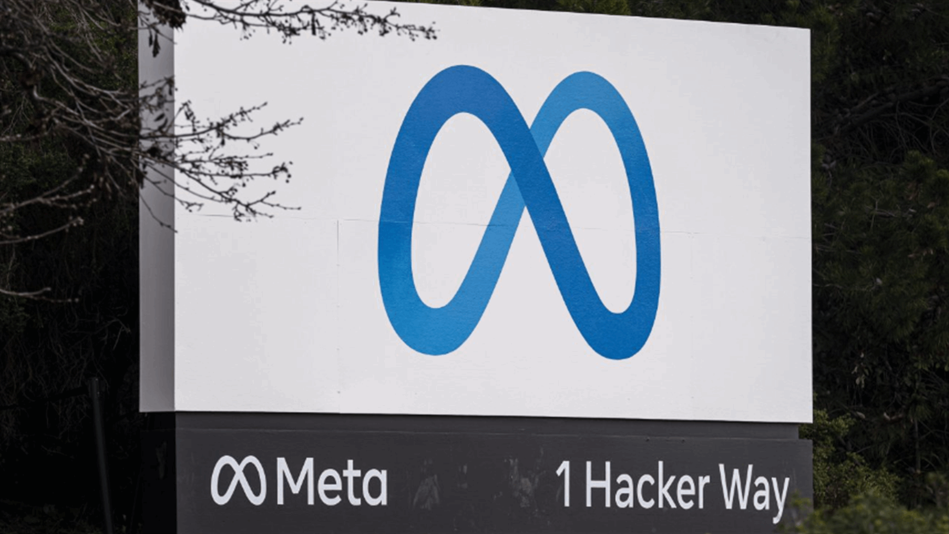 Meta says about 10 percent of its global ad revenue at risk from EU data flows order
