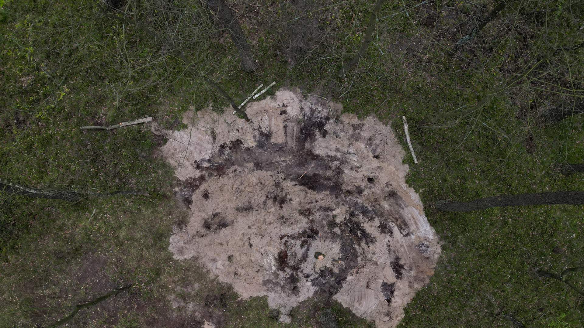 'Military object' found in forest linked to Polish air defense tests, RMF FM reports