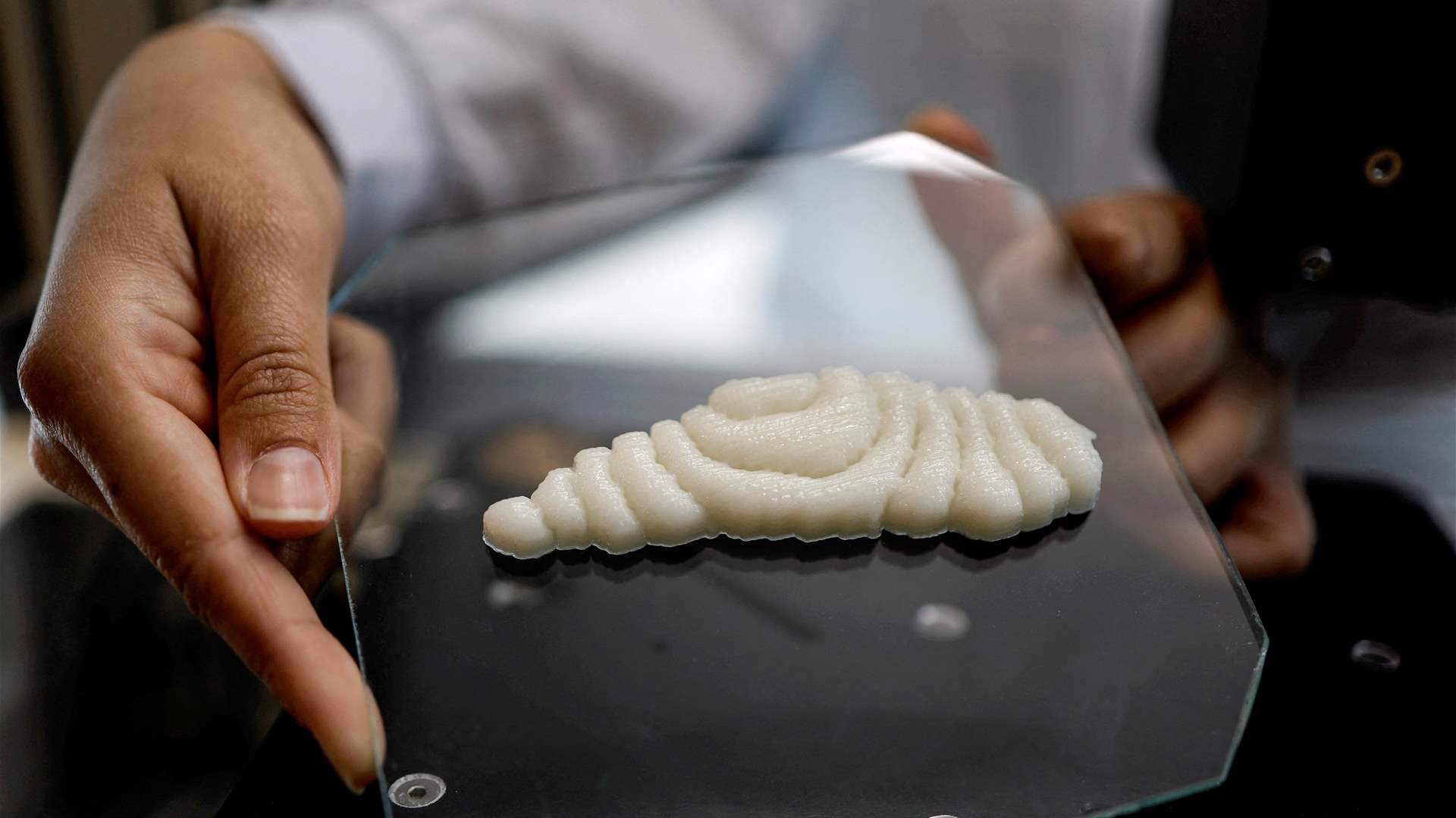Dished up by 3D printers, a new kind of fish to fry